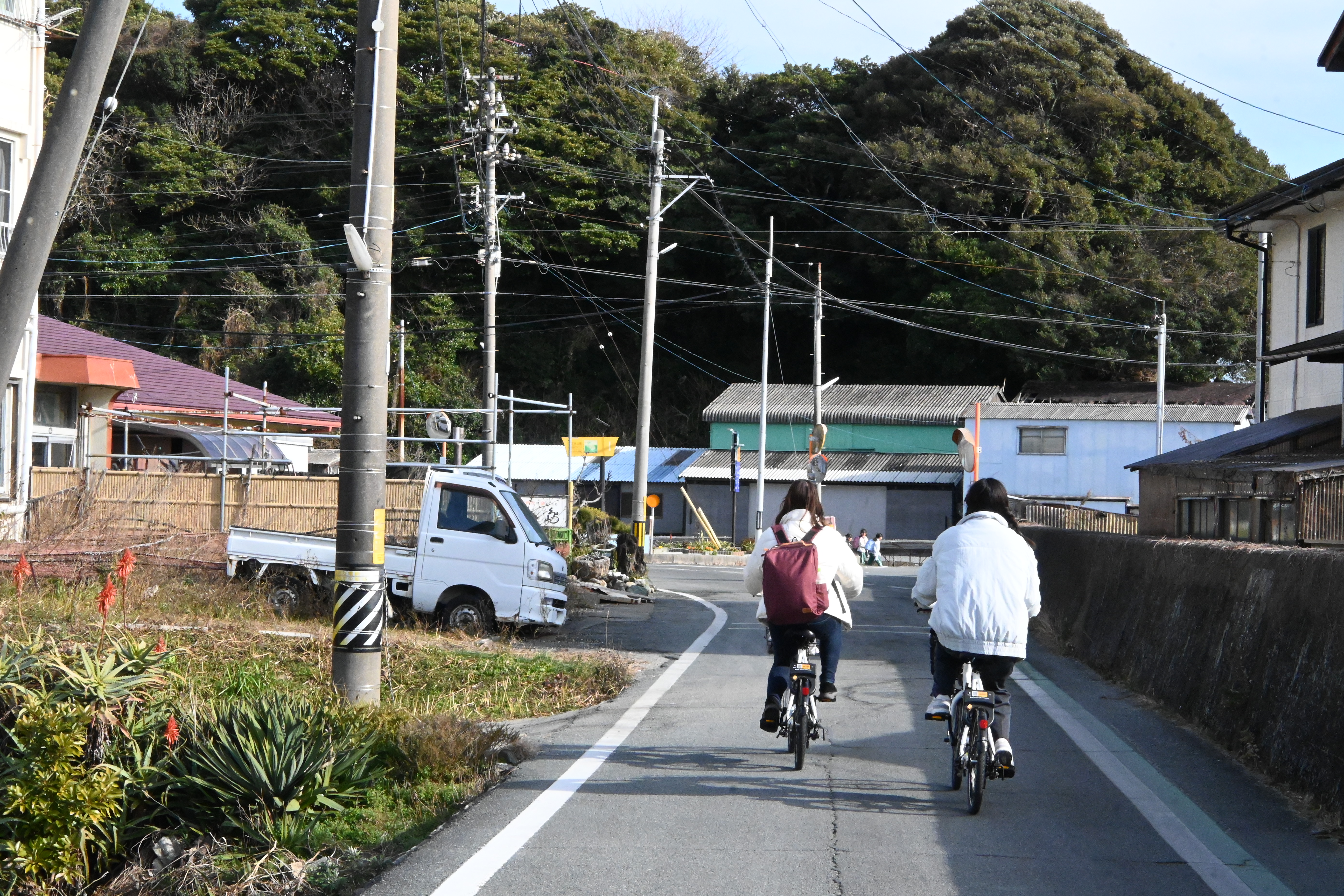 岸上交通最推薦騎車漫遊，租到車之後就能自由順著海岸線騎行，前往島內各景點。