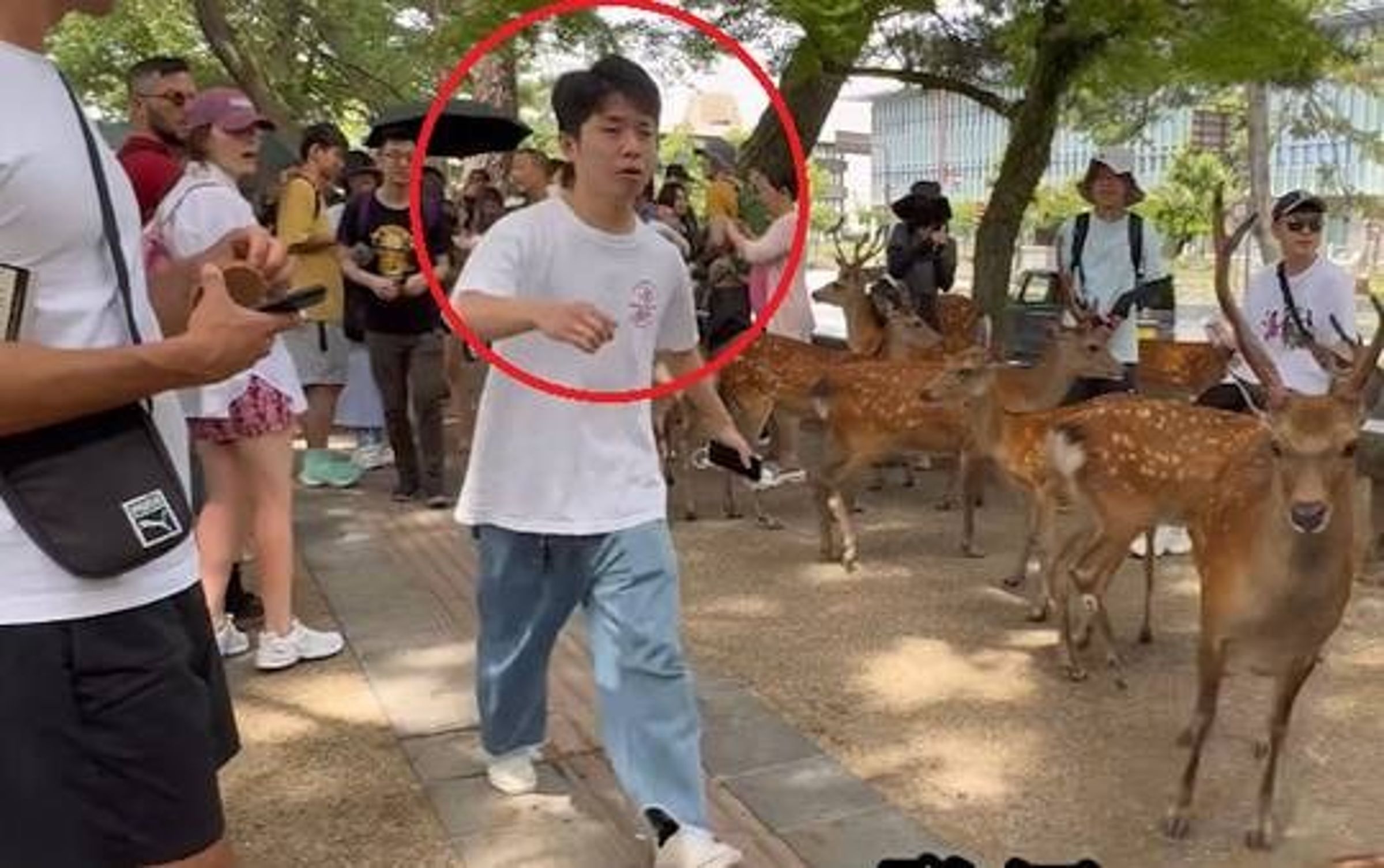 網友希望警方能逮捕這名虐待動物的男子。（翻自X平台）