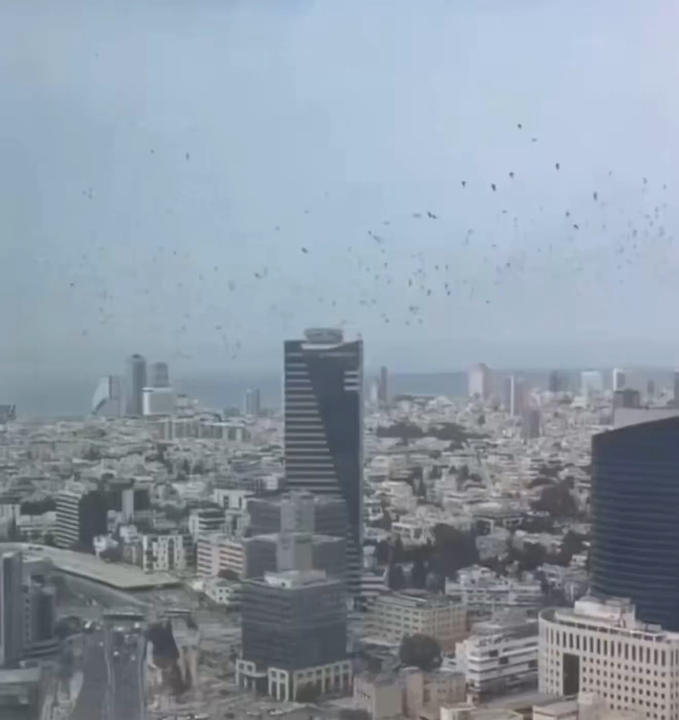 以色列特拉維夫上空出現大量烏鴉盤旋，畫面在社群平台瘋傳。（翻攝X@Jvnior）