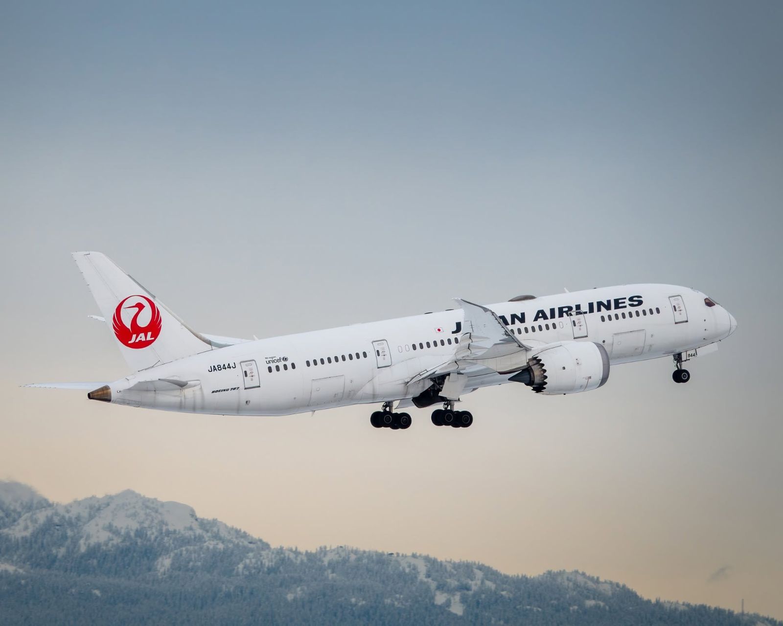 安全帶燈已熄卻遇亂流!日航客機突劇烈搖晃 空服員重摔肋骨骨折