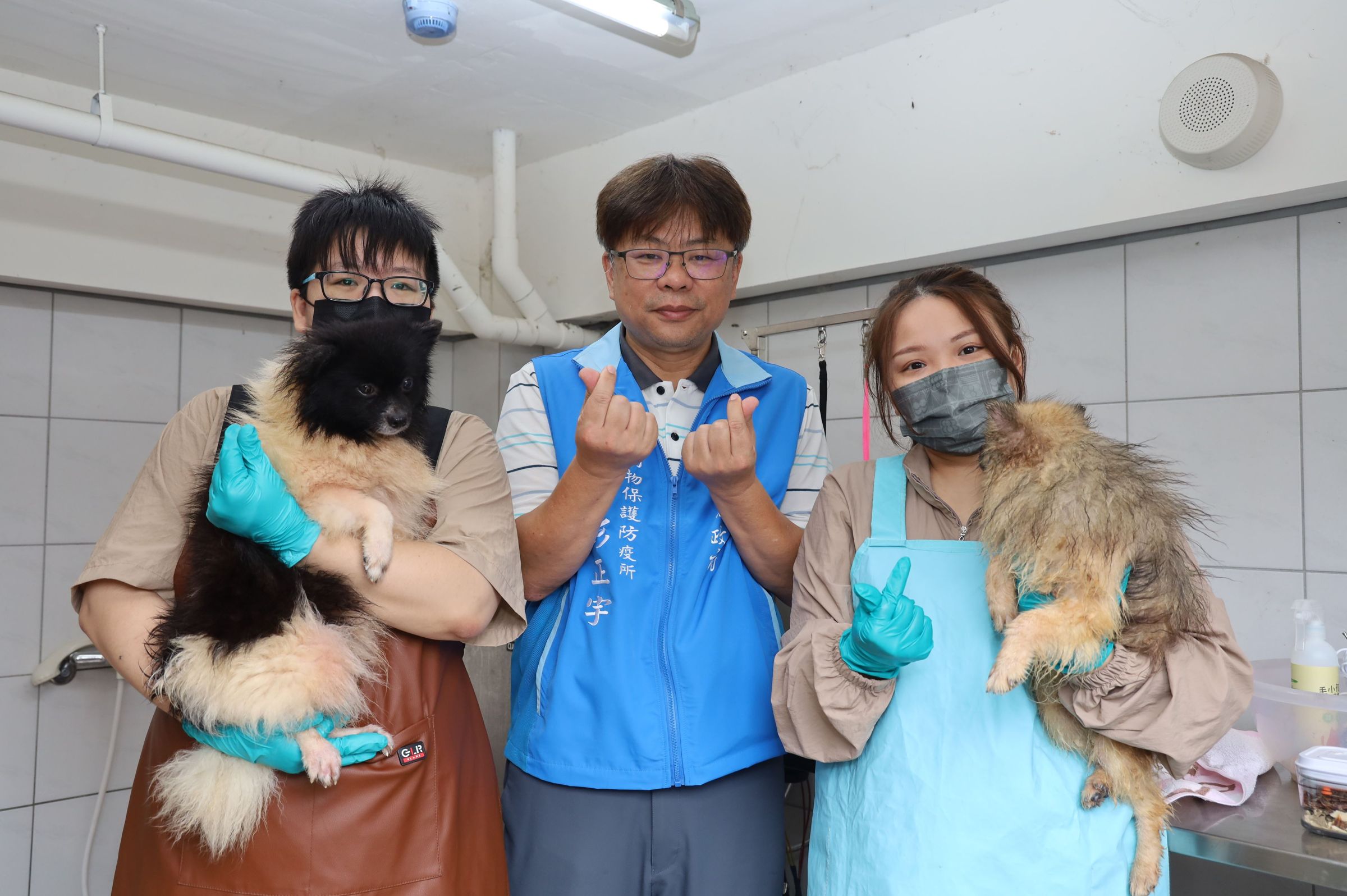 竹縣動保所長彭正宇感謝業者發揮愛心幫毛孩洗澡美容。圖為狗狗美容前毛髮雜亂骯髒。(竹縣動保所提供)