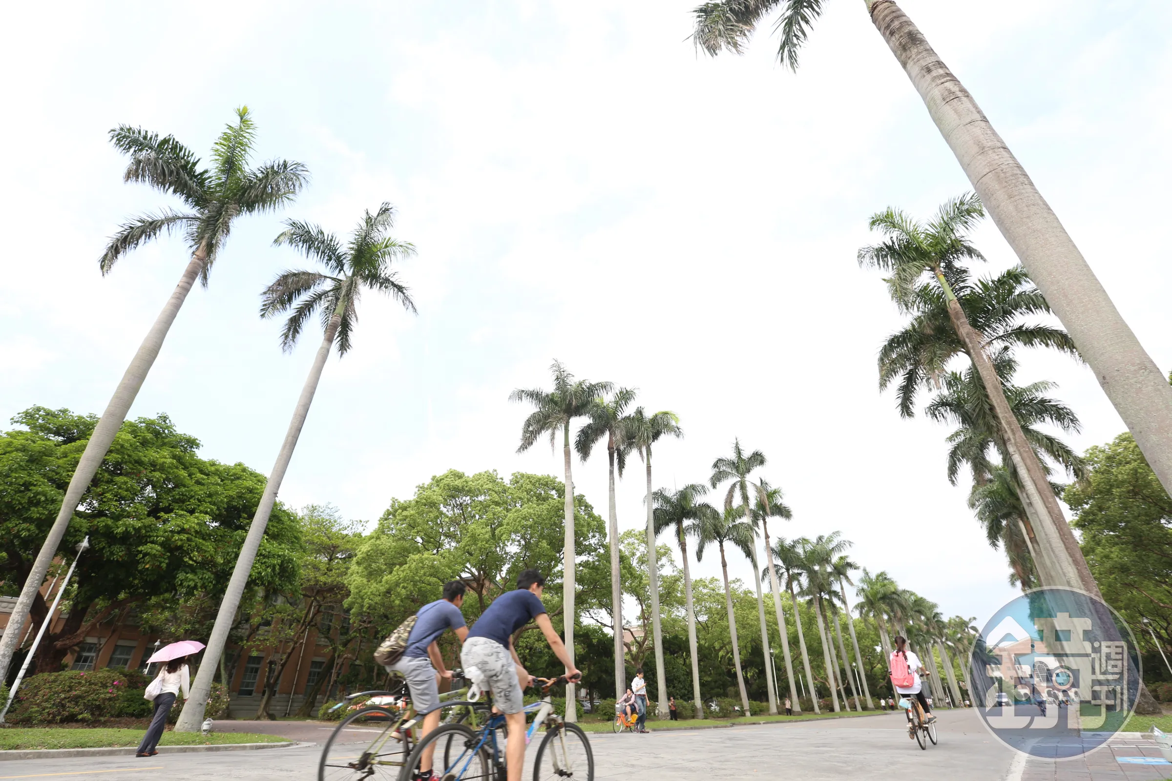 台大男一舍浴室接連遭亂大便!學生深夜蹲點捕獲「擒屎皇」 身分曝光了...本人親揭原因
