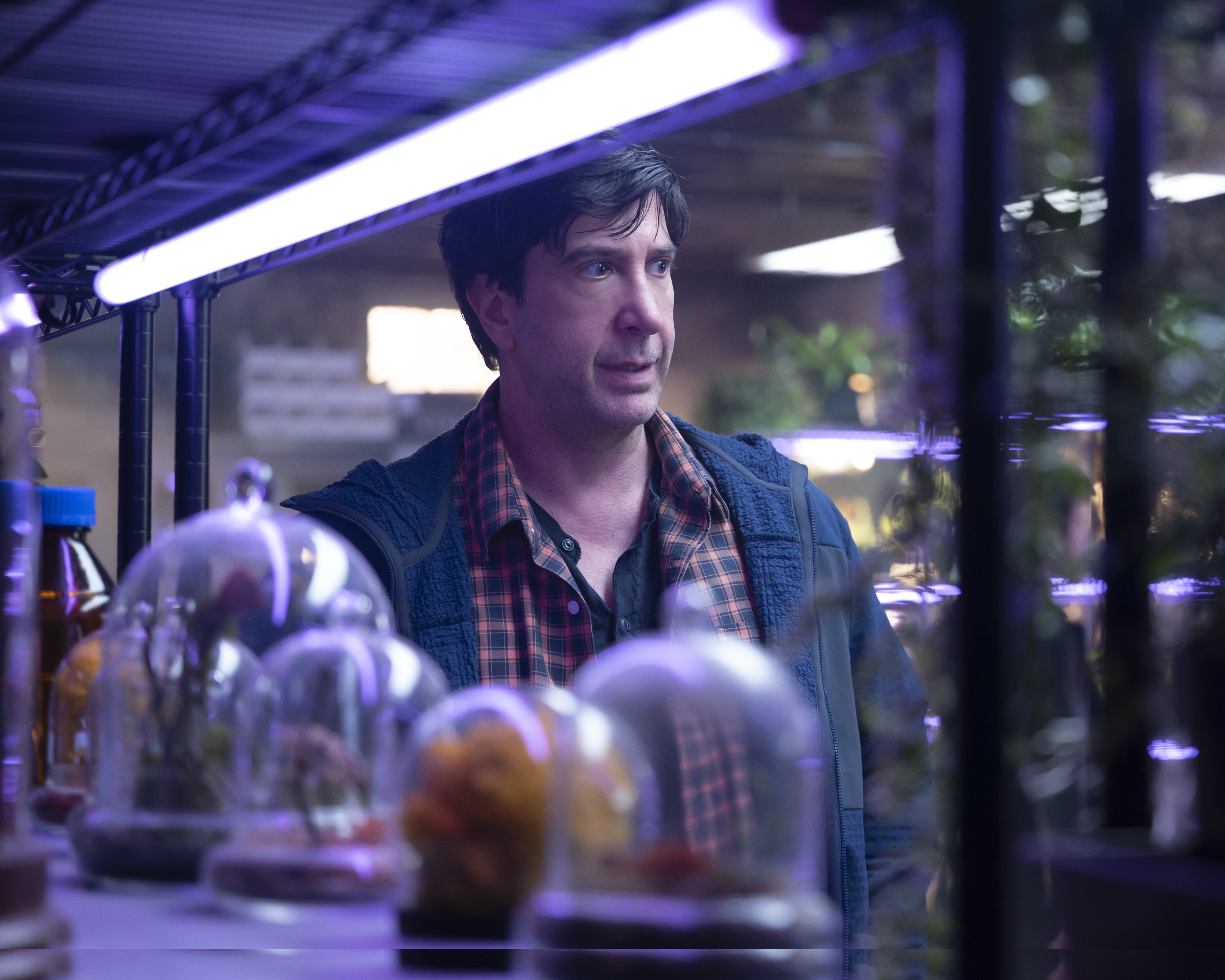 大衛史威默在《雞皮疙瘩：神秘失蹤》，扮演著迷於做實驗的安東尼，意外在地下室發現了一種神秘生物，衍生出一堆麻煩。（Disney+提供）