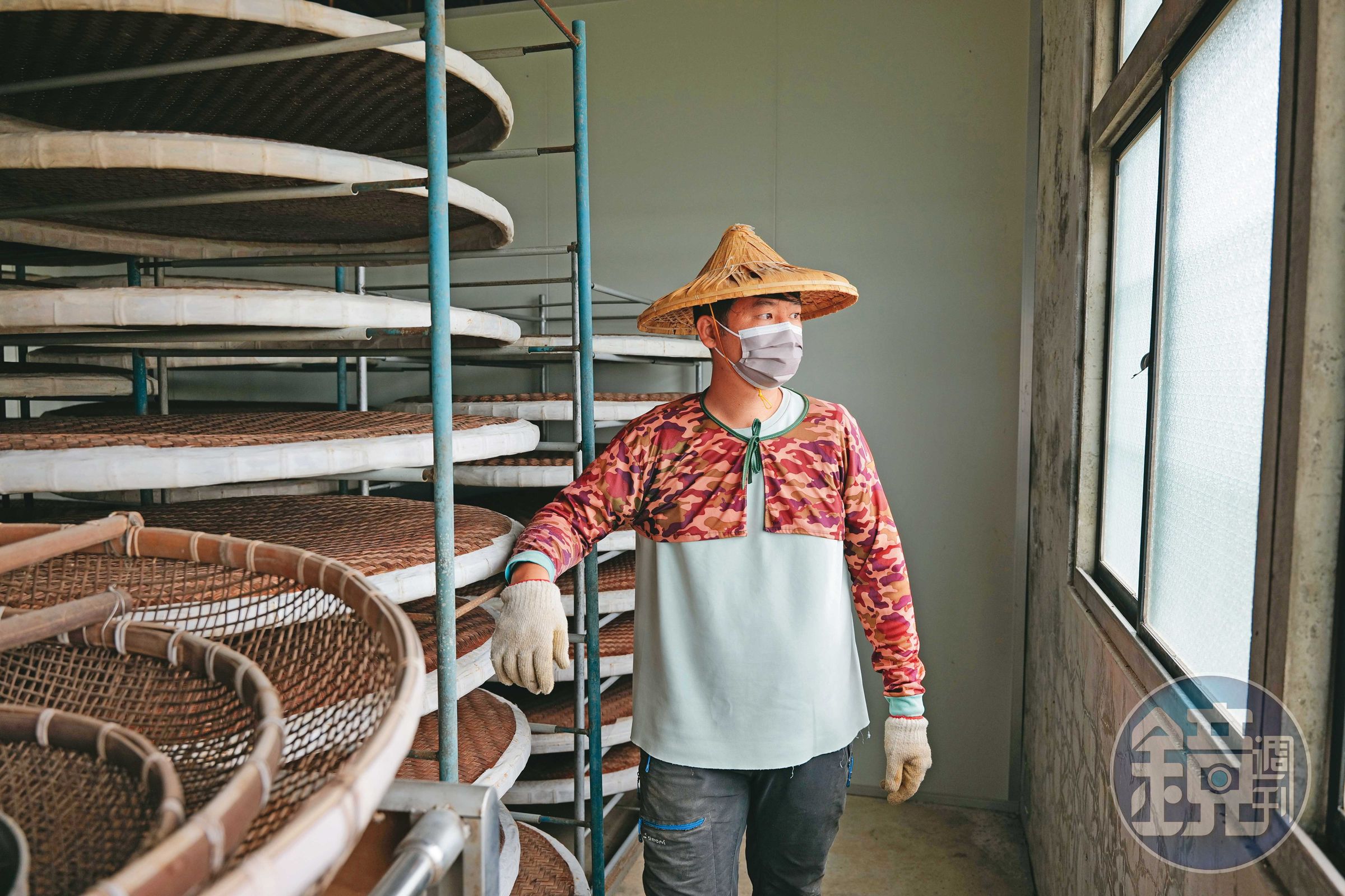 鳳梨哥家中曾經關掉的製茶廠,如今恢復一部分。