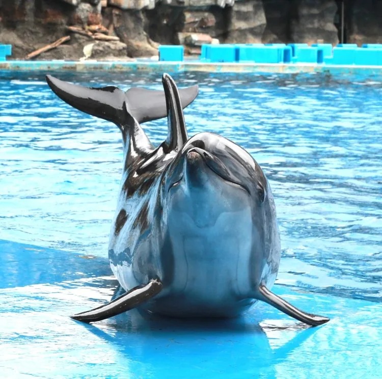 活潑的瓶鼻海豚「安」也傳出喜訊。（翻攝自名古屋港水族館）
