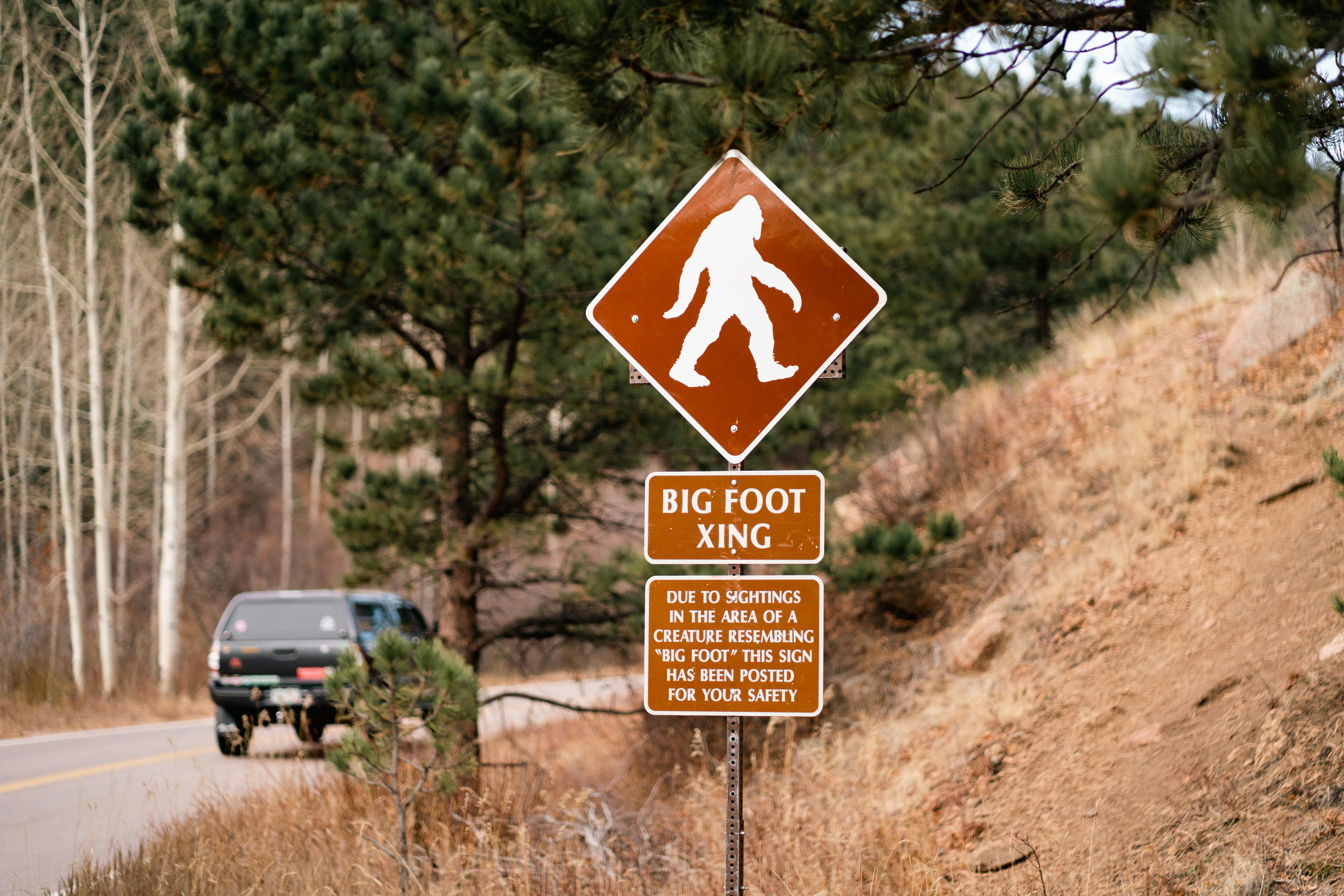 「大腳怪(Bigfoot)」傳說,近日在美國再度成為熱門話題。(翻攝自pexels)