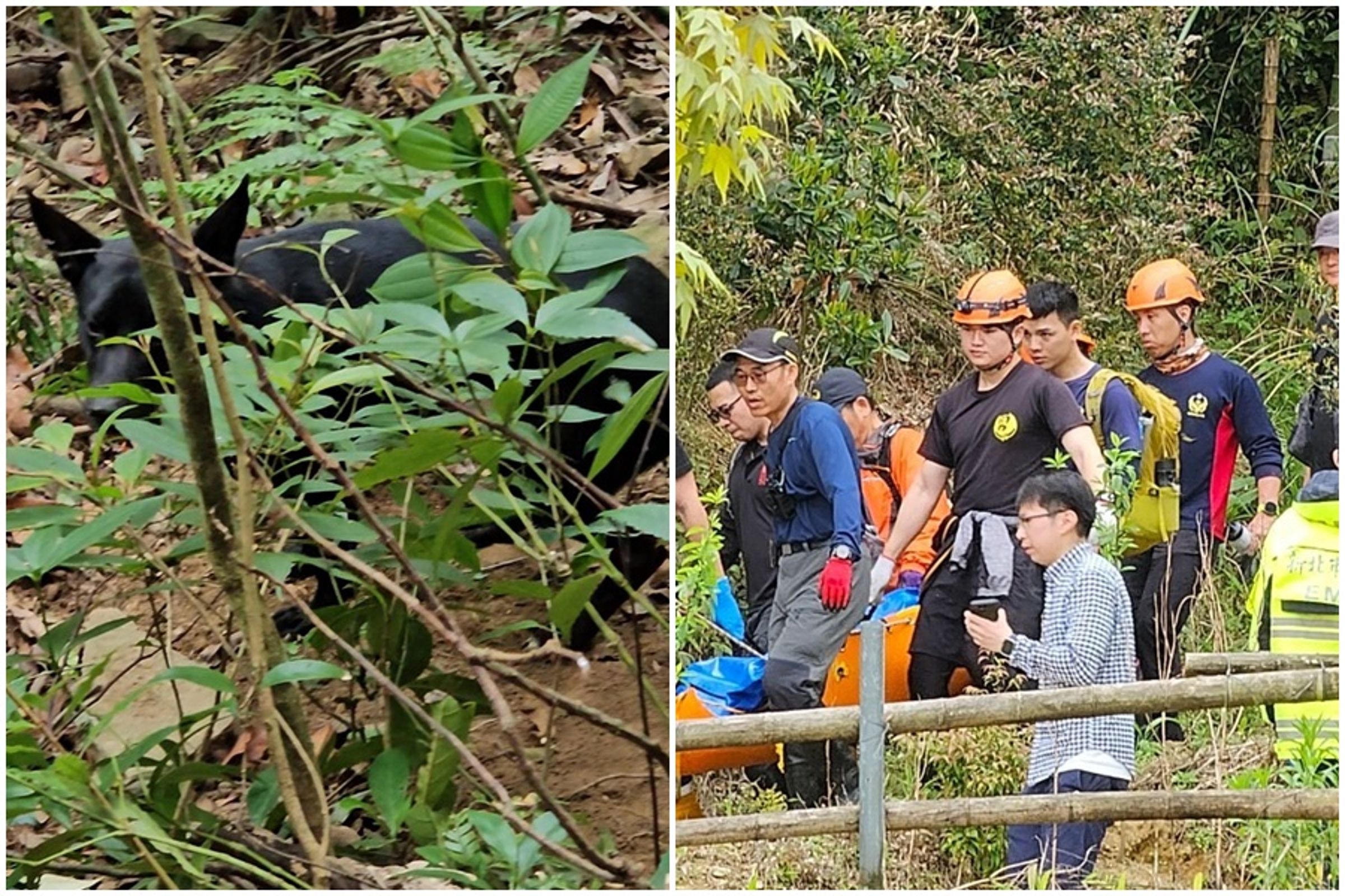 桃園66歲陳姓男子日前帶著愛犬「黑皮」到新北市三峽登山,不幸失足身亡,愛犬在一旁忠心的守著遺體。(翻攝自山友臉書)