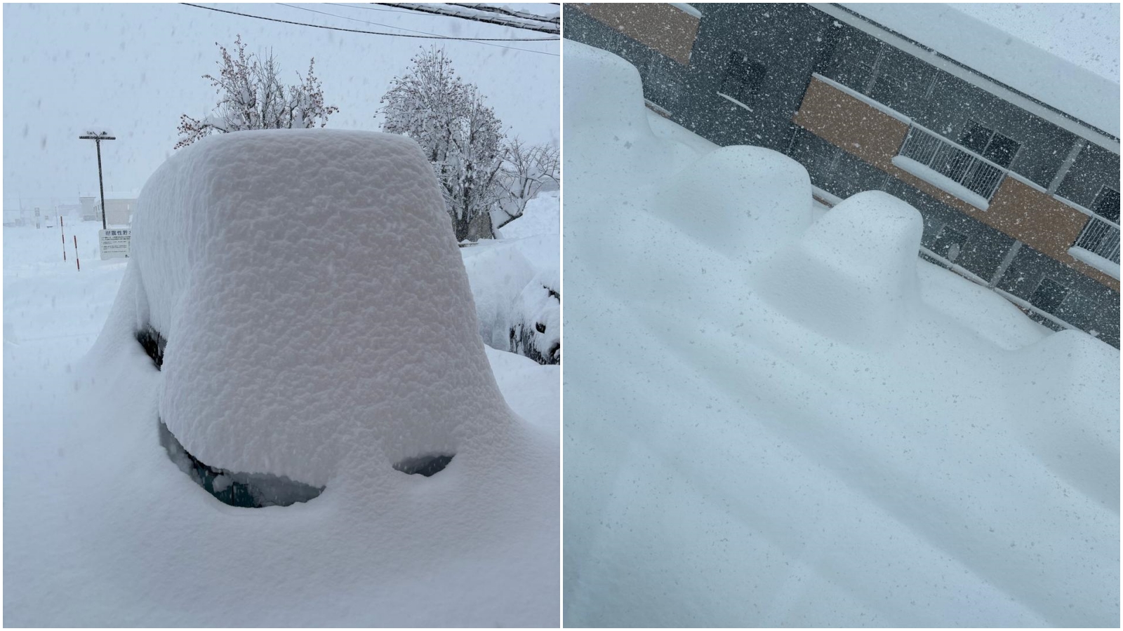 北海道許多車輛都被白雪覆蓋成小雪山。（翻攝自@wni_jp）