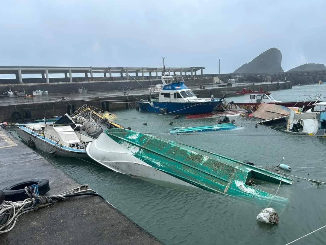 小犬發狂肆虐台灣,首當其衝的蘭嶼遭受重創。(翻攝自賴坤成臉書)