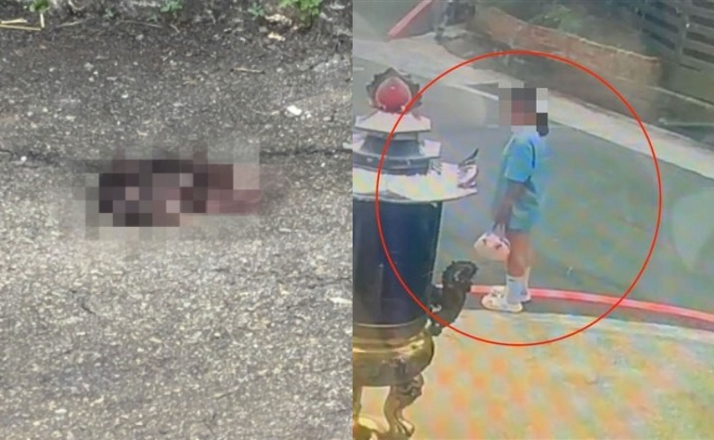 台中沙鹿街頭仍留有大片血跡,附近一隻黑狗反覆嗅聞少女所遺留挑染過的粉色髮絲。(翻攝畫面)