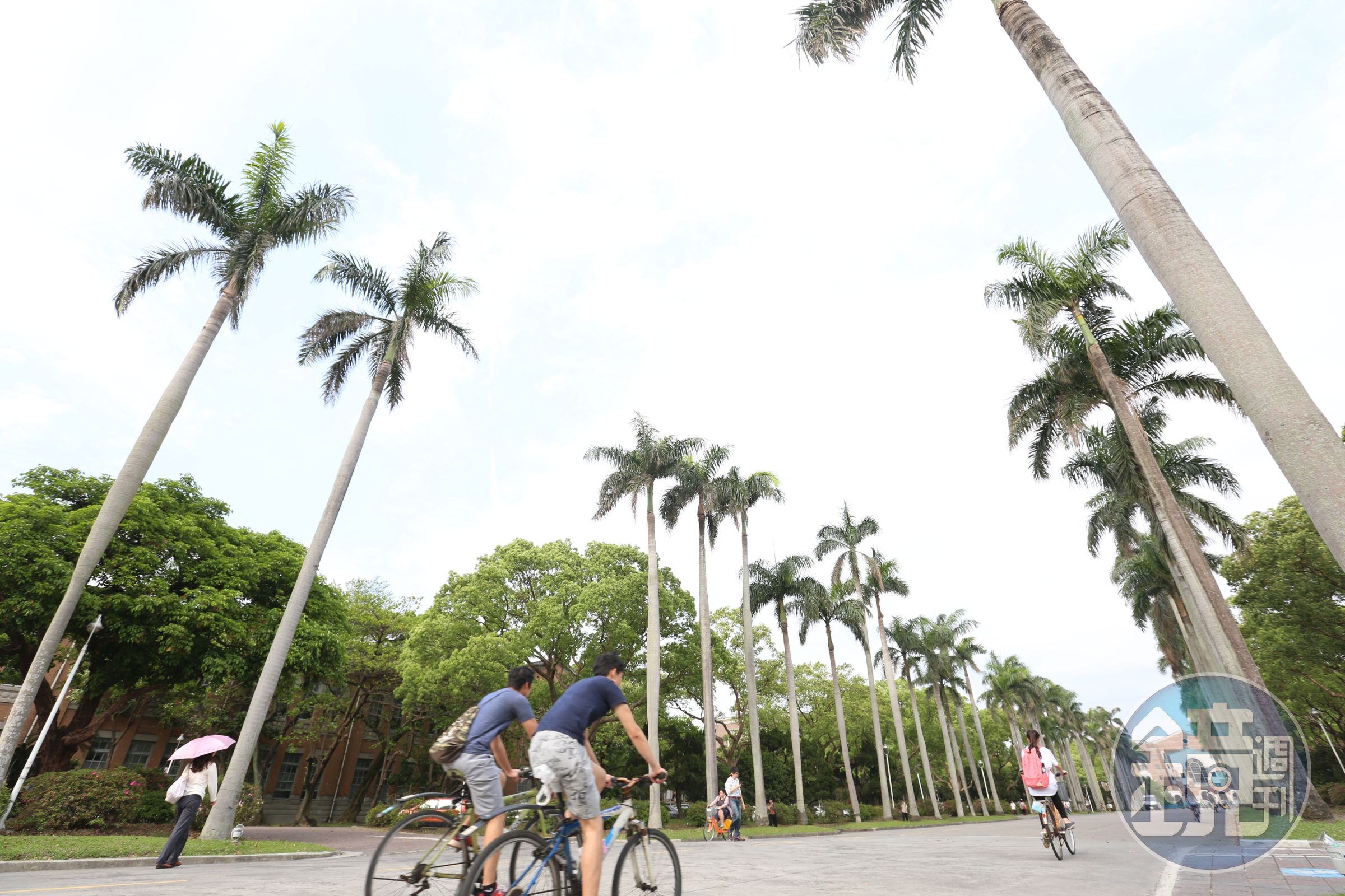 台大在本次QS世界大學排名前進5個名次,為台灣排名最高的大學。(資料照)