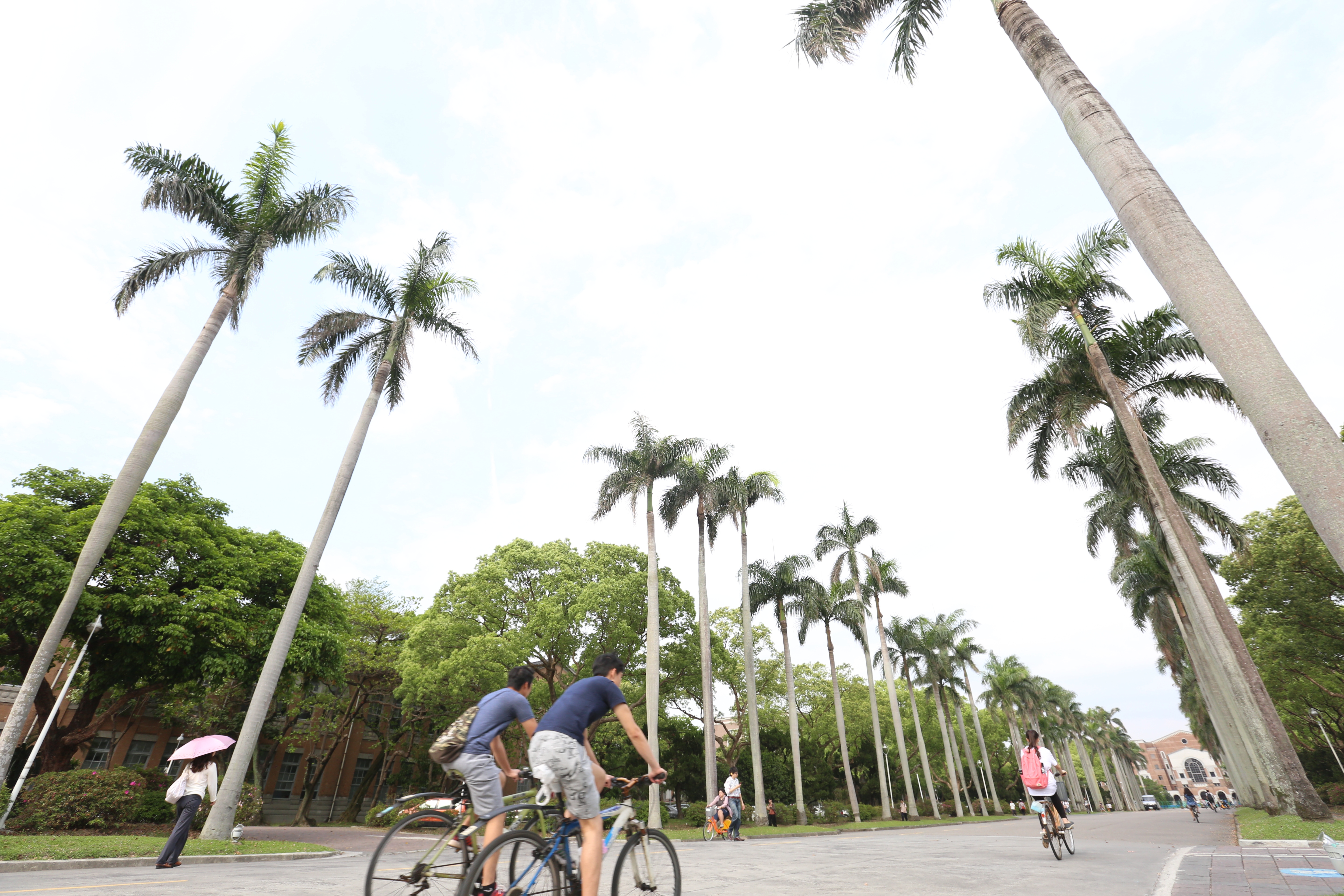 台大在本次QS世界大學排名前進5個名次，為台灣排名最高的大學。（資料照）
