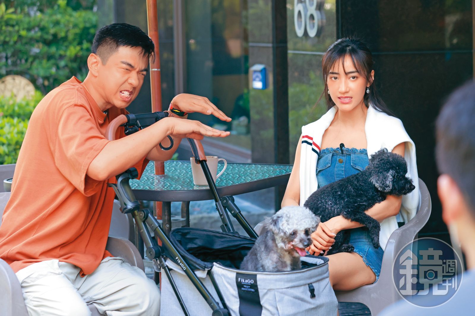 熊爸估狗／2隻貴賓搶關愛　夏宇禾求教平息兄弟戰爭