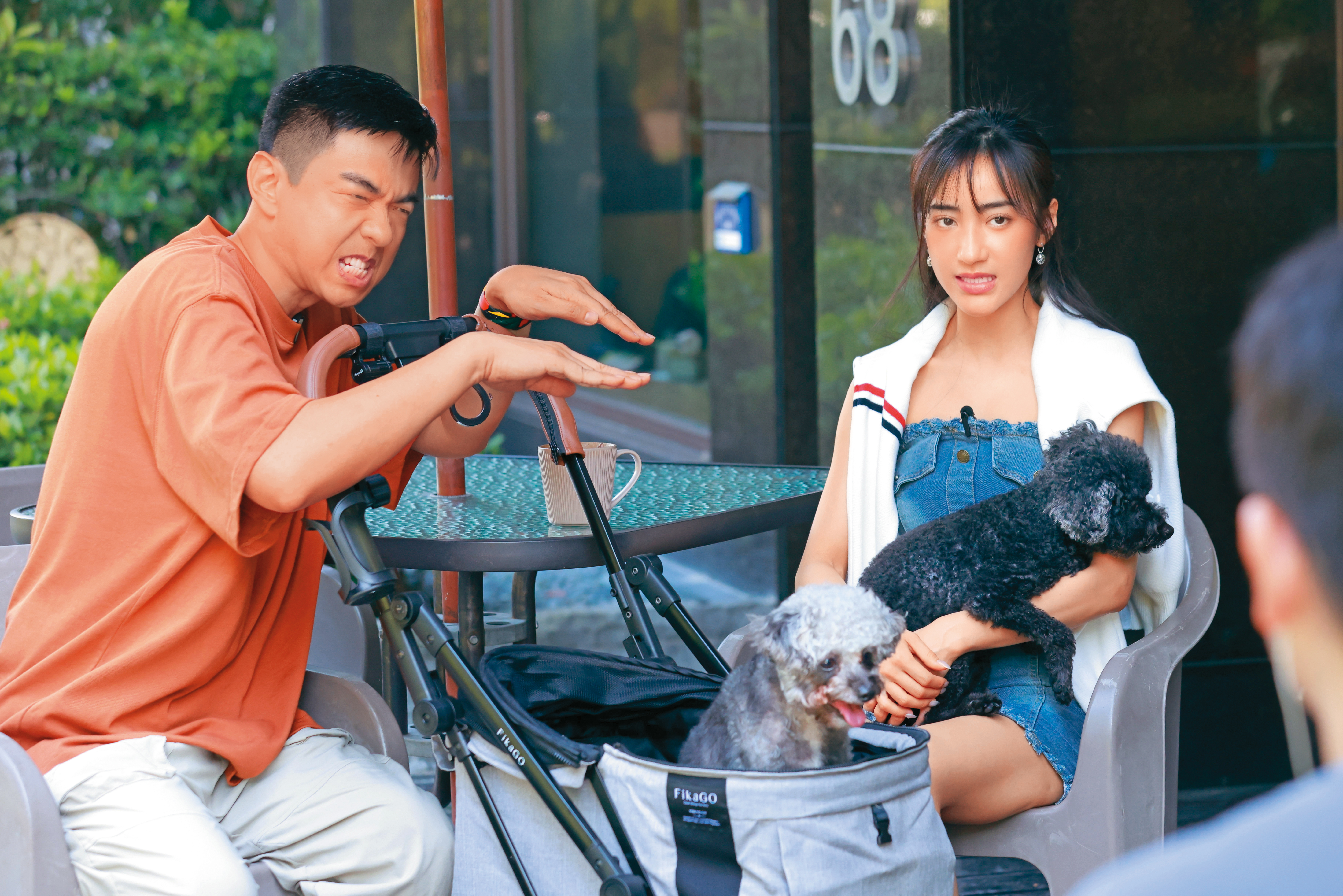 夏宇禾（右）帶著一對貴賓兄弟跟熊爸（左）見面，面對2隻乖巧的狗狗，熊爸主動跟牠們互動，但狗兒眼中只有主人，無動於衷。（鏡藝宏海提供）