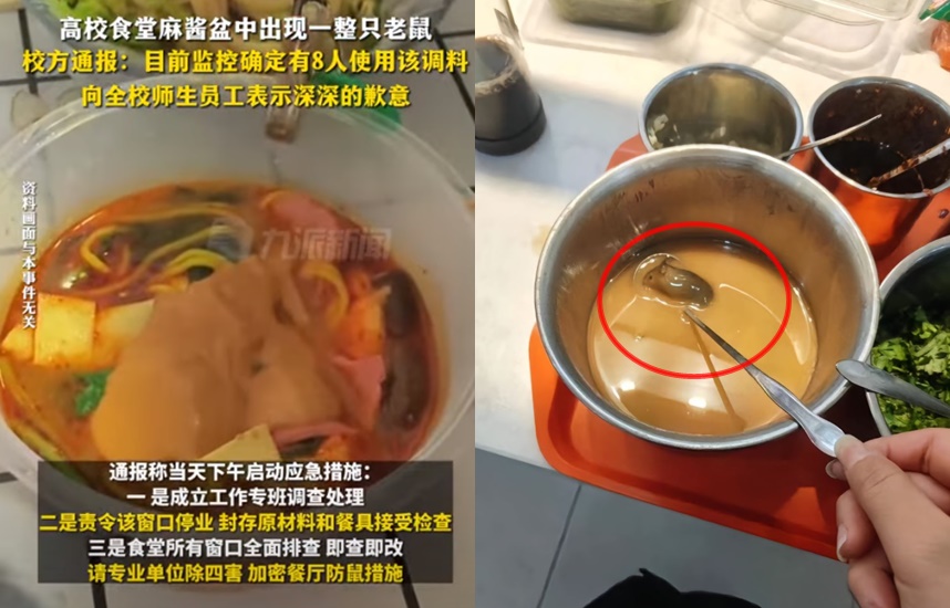 江海職業技術學院有學生在自助醬料區「麻醬盆」撈到一隻老鼠,學校隨即著手展開調查。(翻攝微博)