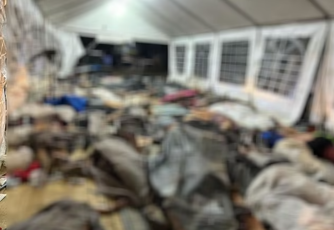 3千人音樂祭變死城！260屍陳列影像曝光，哈瑪斯陸空包夾見人就殺。（翻自以色列國防部X平台）