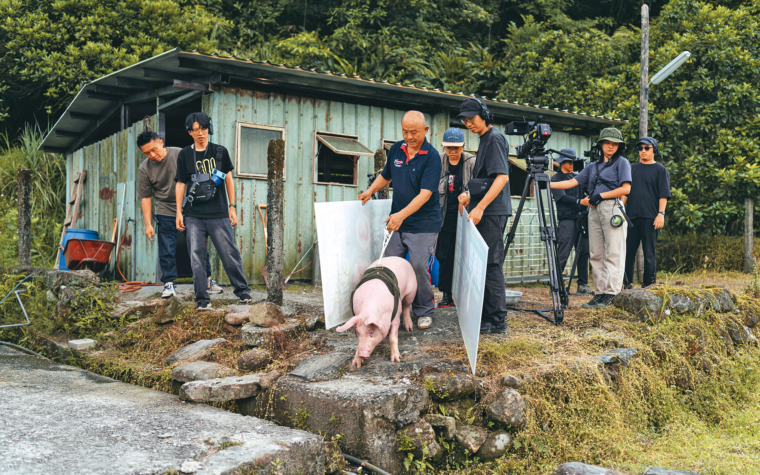 李昭樺（左一）透露，肉豬無法訓練，需配合製作機器豬和CG特效才完成〈豬人〉拍攝工作。 （LINE台灣提供）