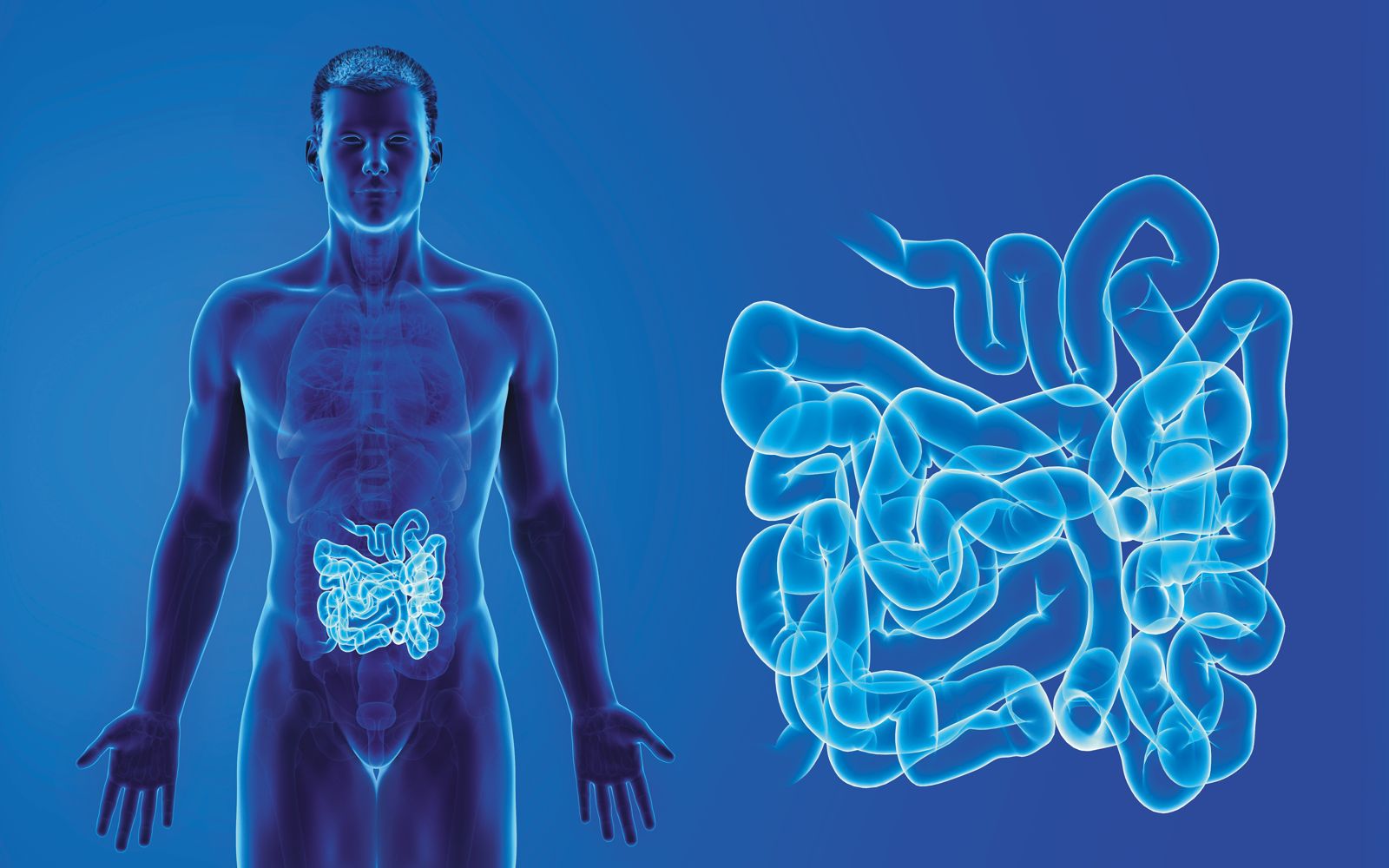 腸道裡面存在數以兆計的的微生物，諸多臨床研究顯示，部分微生物可望成為治療疾病的新救星。（圖／鏡週刊提供）