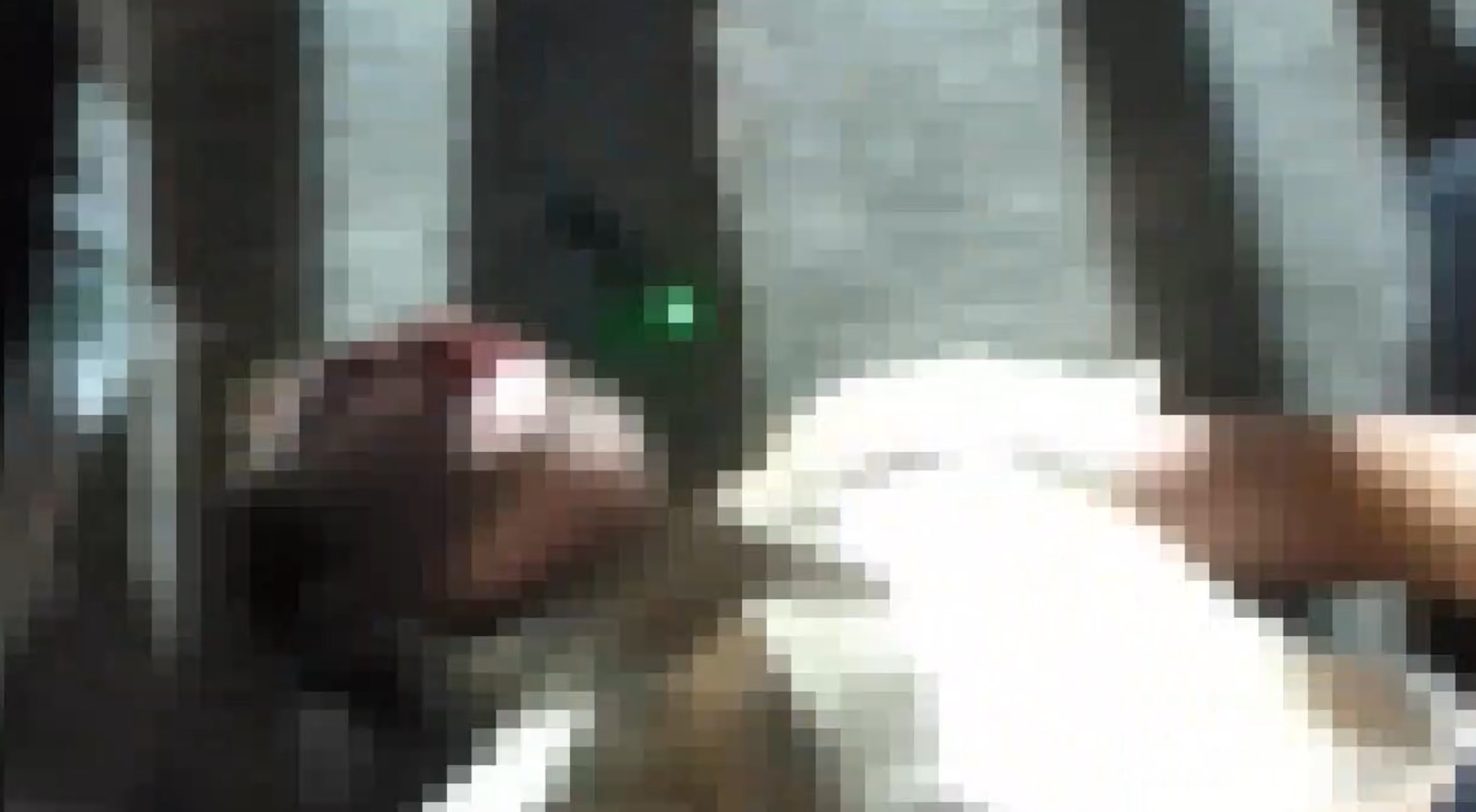 美籍男子在花博園區酒後傷人，被壓制在地帶回警局偵辦。（翻攝畫面）