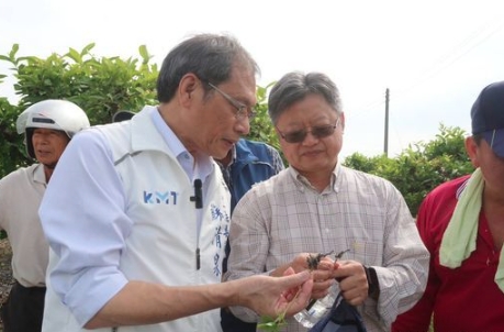 近期屏東紅豆農損失慘重，不但遭遇超級颱風襲擊的淹水災情，又被綠鬣蜥啃食破壞。（蘇清泉服務處提供）