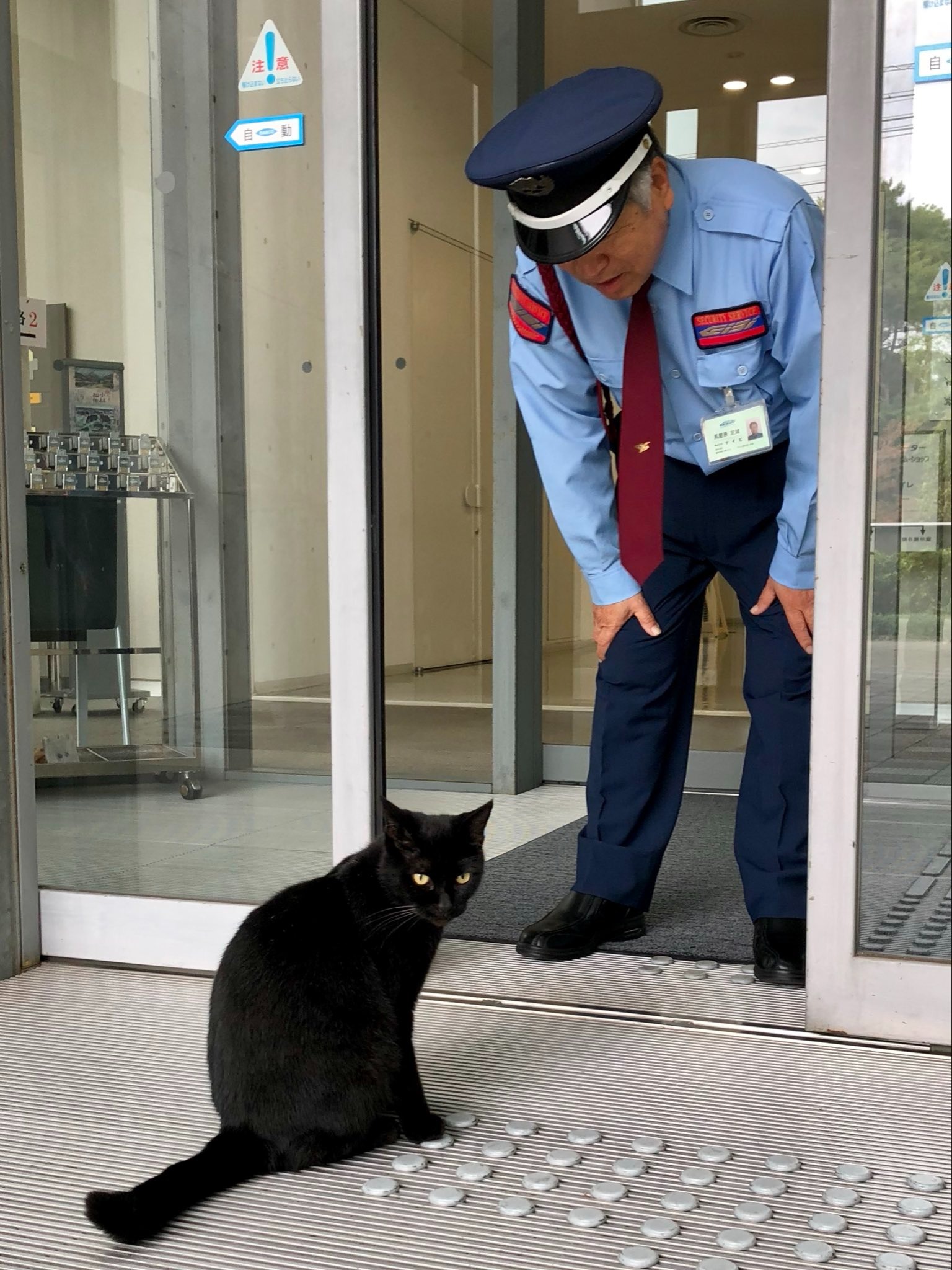 小健多次嘗試進入館內。（翻攝自尾道市立美術館Ｘ）