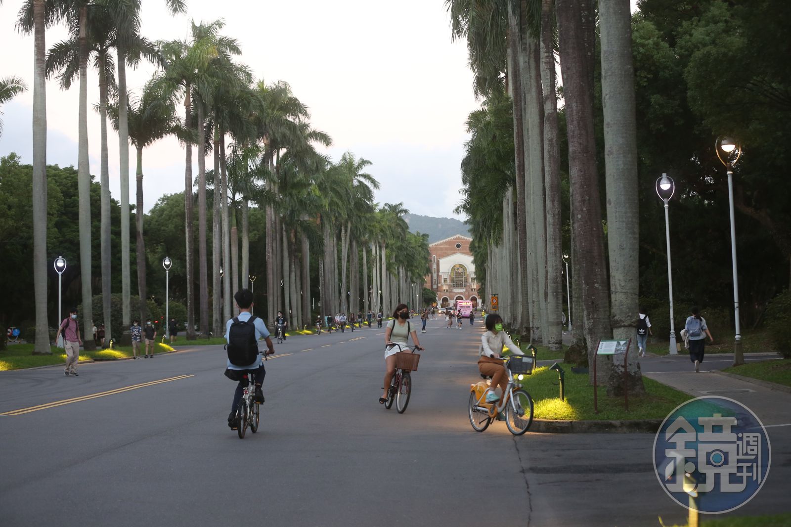 台大匿名雞排文「騙到400人排隊」 PTT創世神:台灣還有什麼騙不到