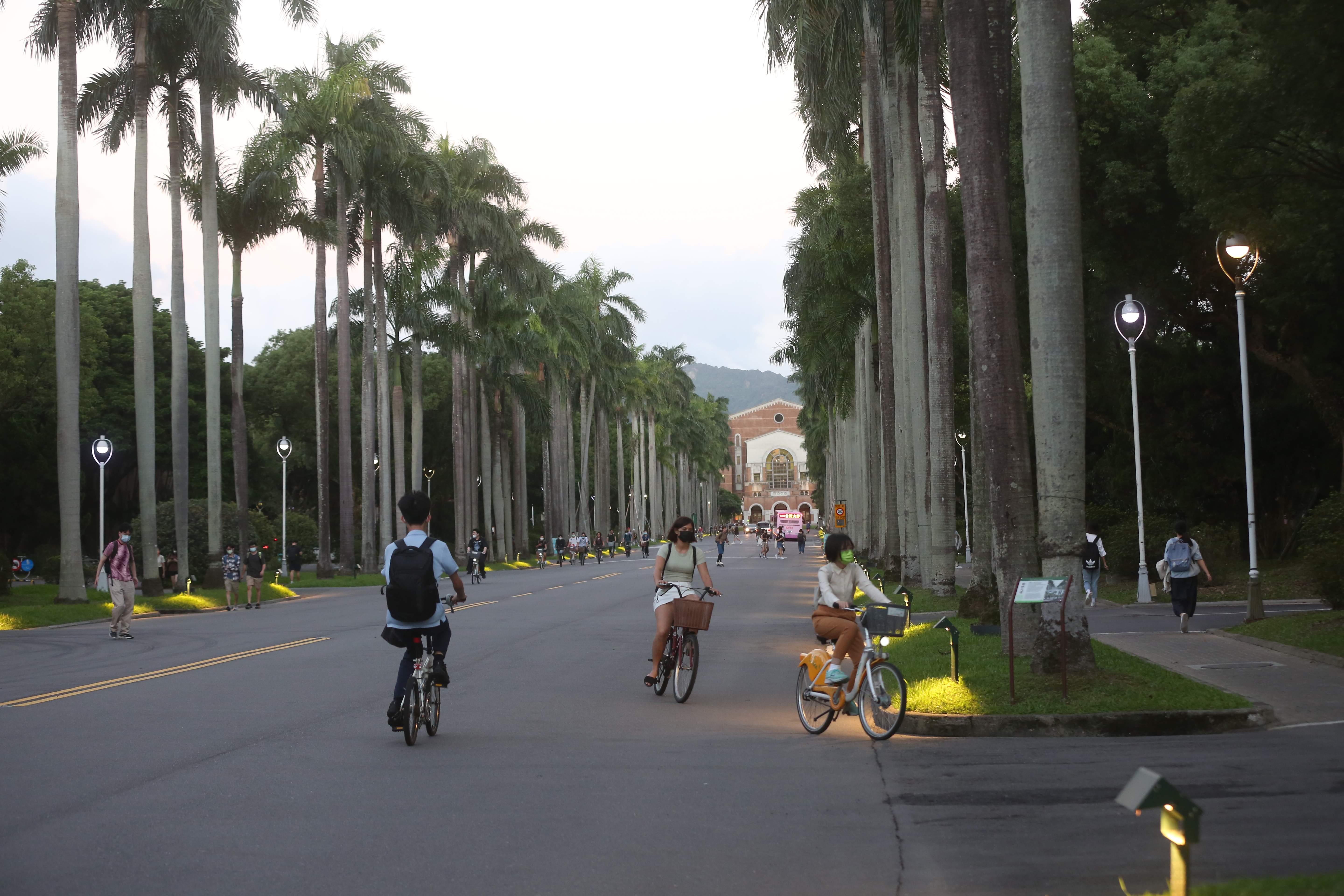 台大近日發生「假雞排之亂」，杜奕瑾認為這可以視為一個很好的課程。（示意圖，資料照）