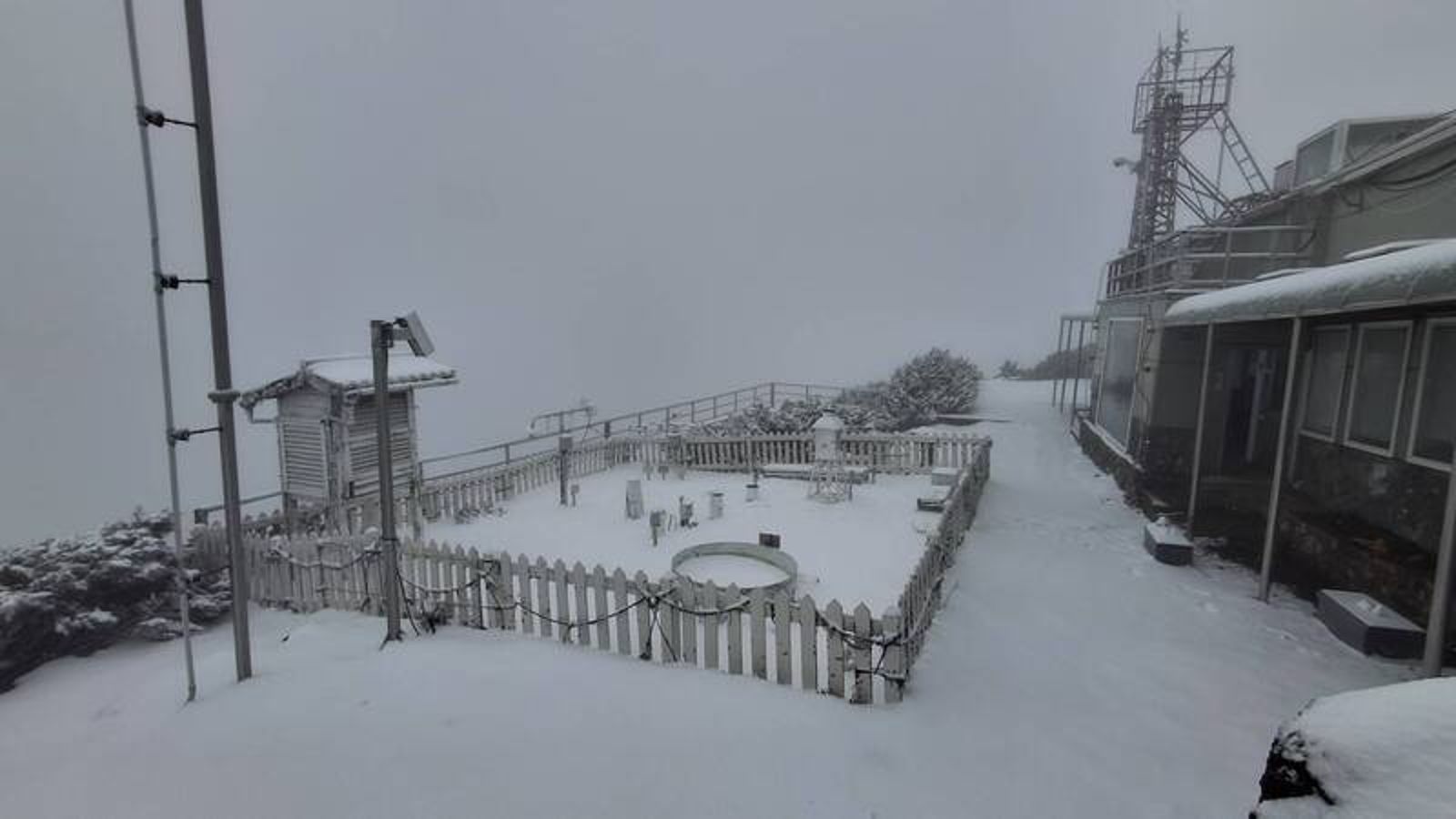 玉山下雪「持續3小時」了 積雪4公分如銀白世界