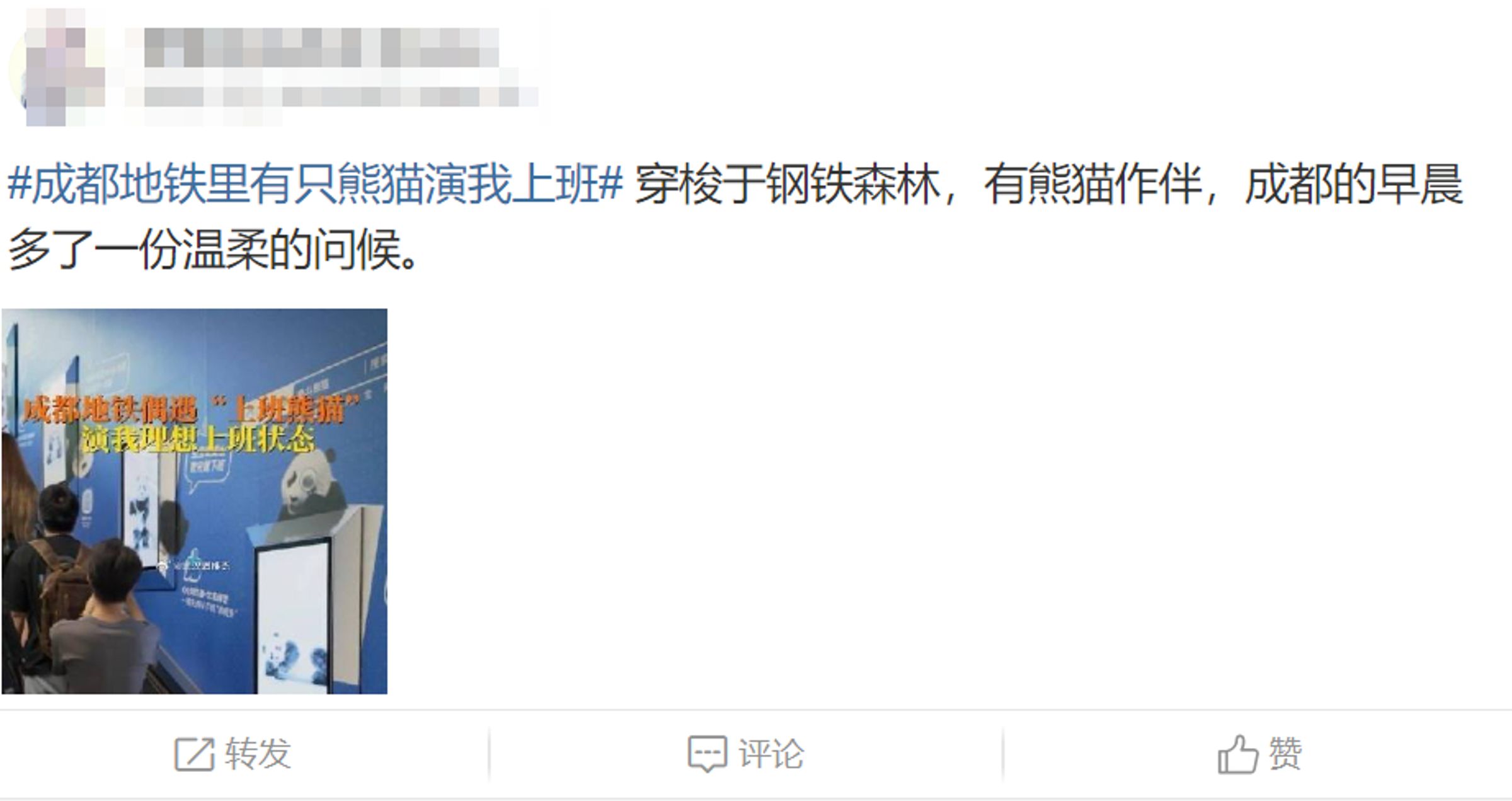 微博上出現大量「成都熊貓」文章。(翻攝微博)