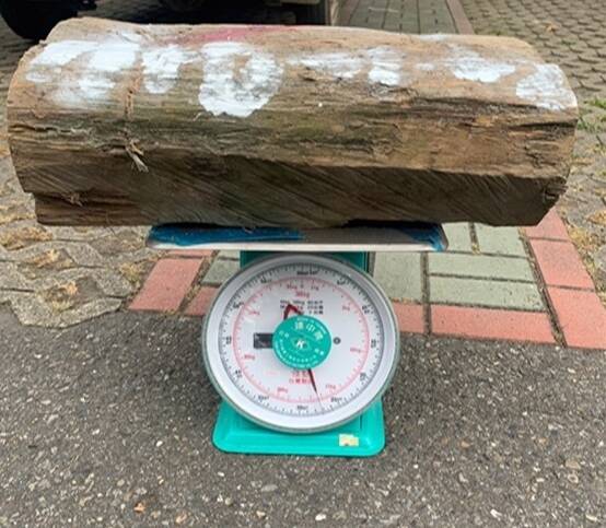 陳姓等三名男子竊取信義鄉林班地遭盜伐遺留的紅檜，保七總隊第六大隊起獲其中一塊、重約16.4公斤紅檜。（保七總隊提供）