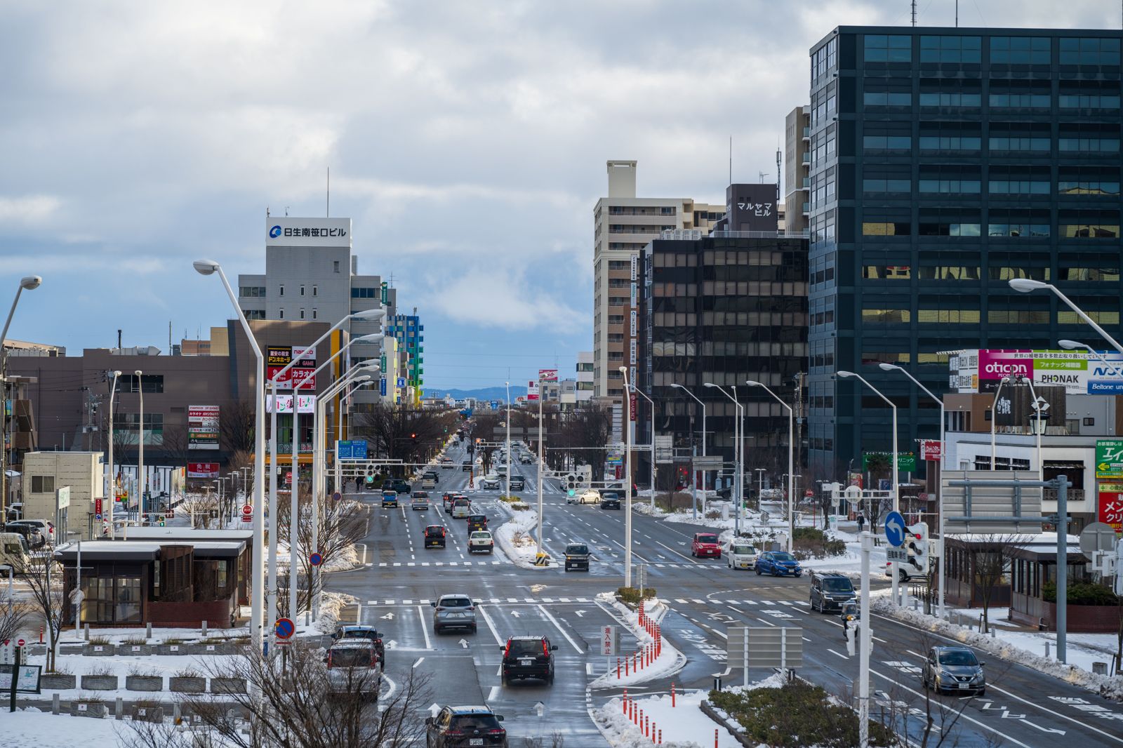 北海道真的沒蟑螂?都市傳說破滅 札幌等地小強數量暴增...專家揭「2大殺手級原因」