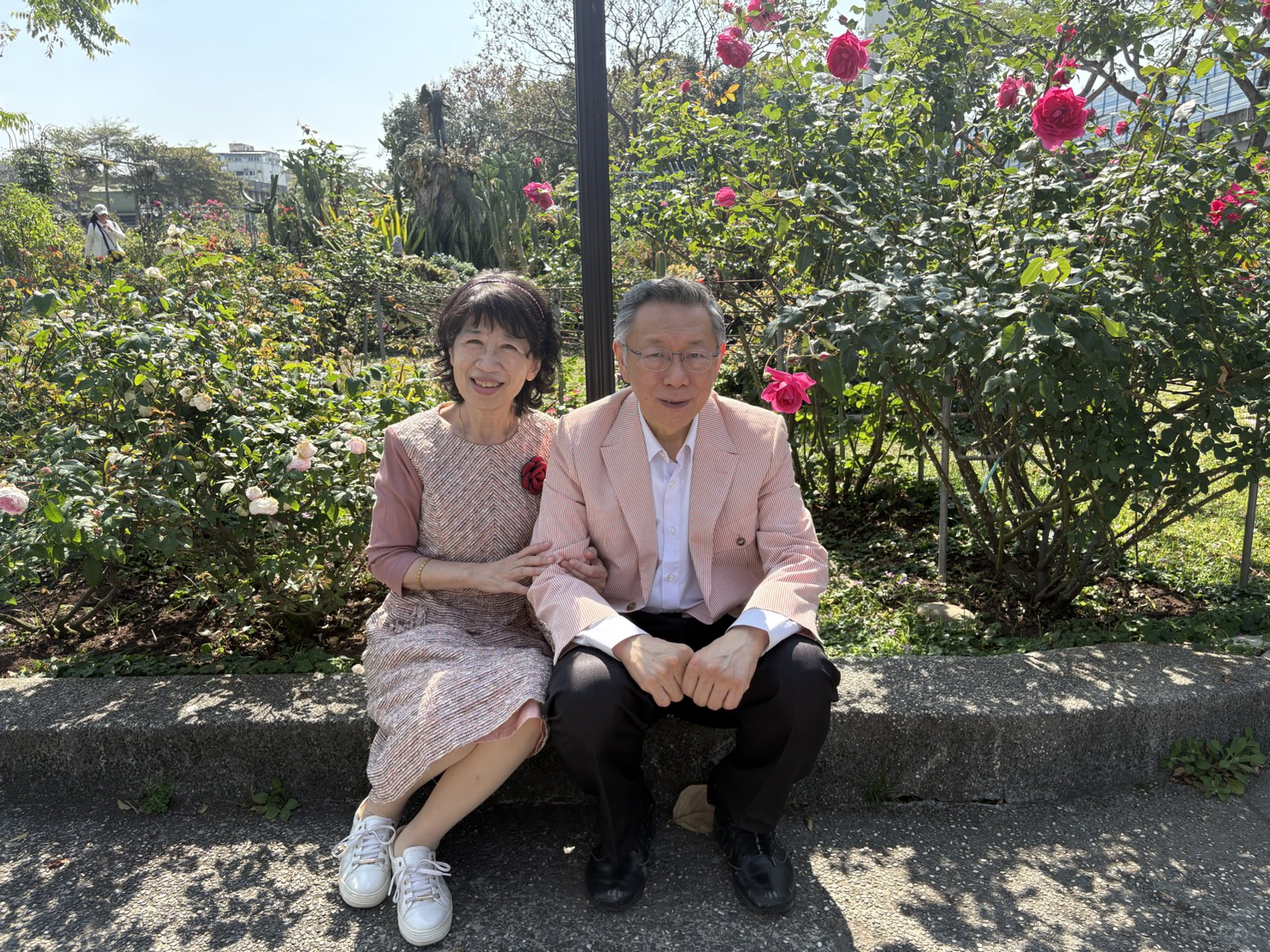 陳佩琪發文酸賴清德卻再次翻車。(翻攝自臉書@陳佩琪)