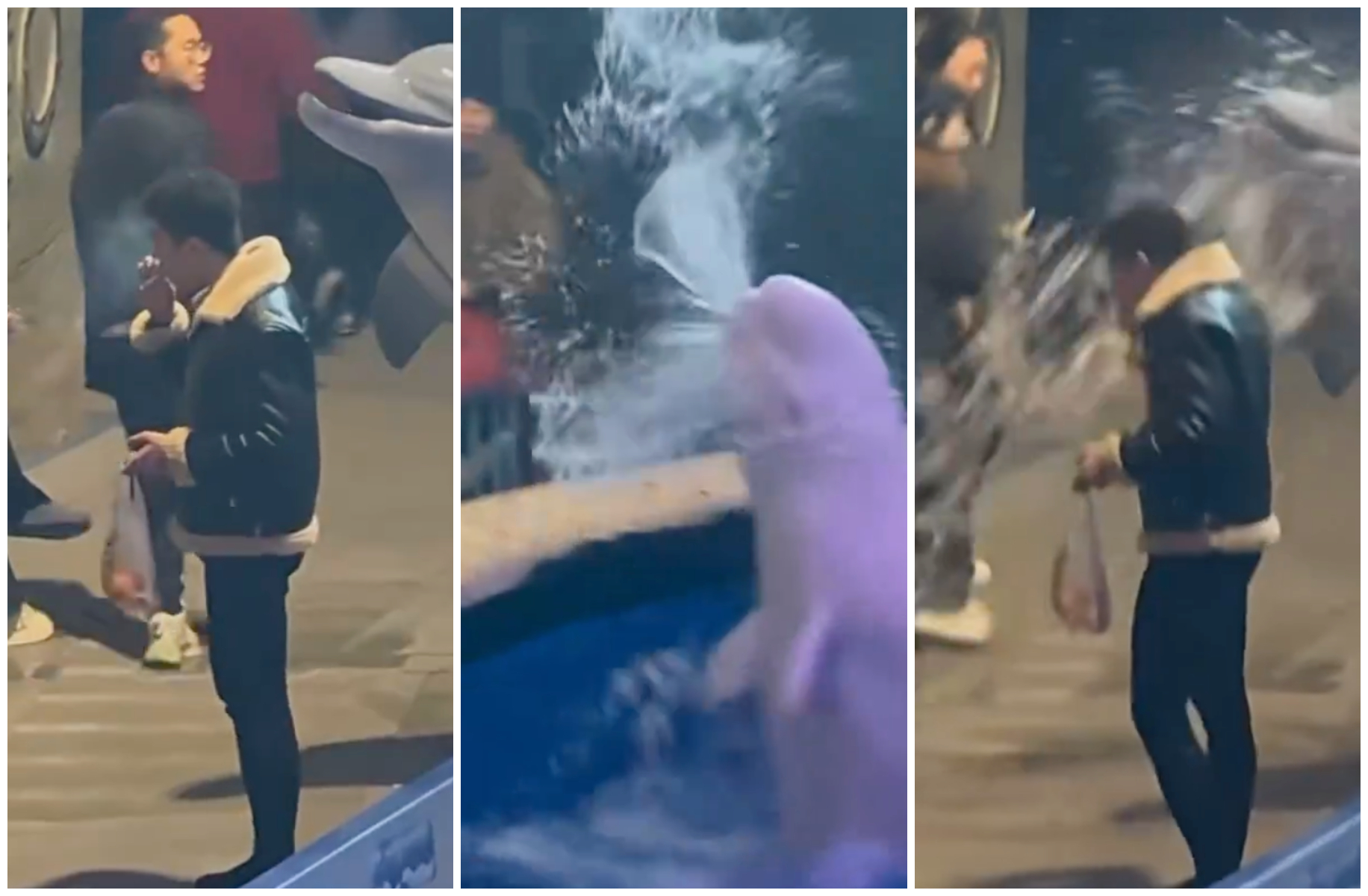 一名男子不顧警告,在海洋館裡抽菸,結果被白鯨「石榴」噴水教訓。(翻攝影片畫面)