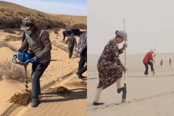 毛烏素沙漠治沙人，在一代一代的努力下，2030年將有望成為大綠洲。（翻攝自微博）