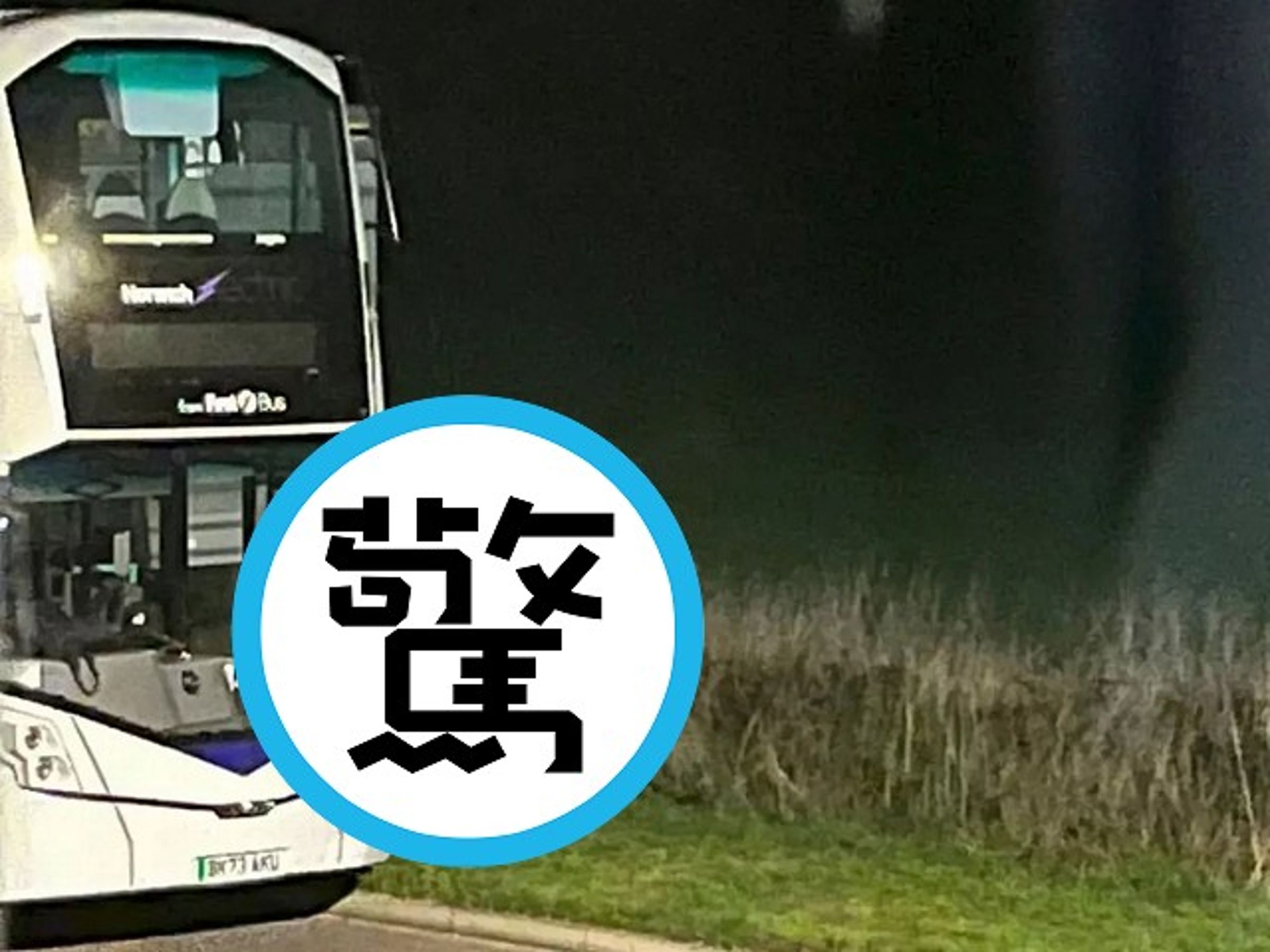 巴士司機活春宮被直擊,「老司機下車」被網讚:安全性行為。(翻自《每日星報》)