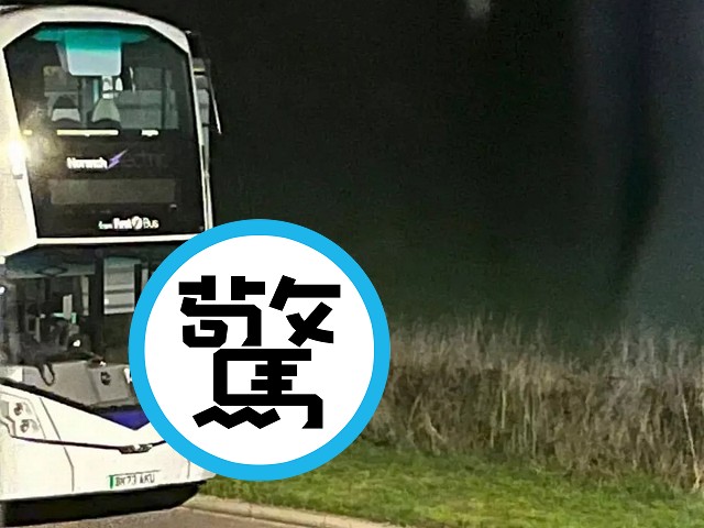 巴士司機活春宮被直擊，「老司機下車」被網讚：安全性行為。（翻自《每日星報》）