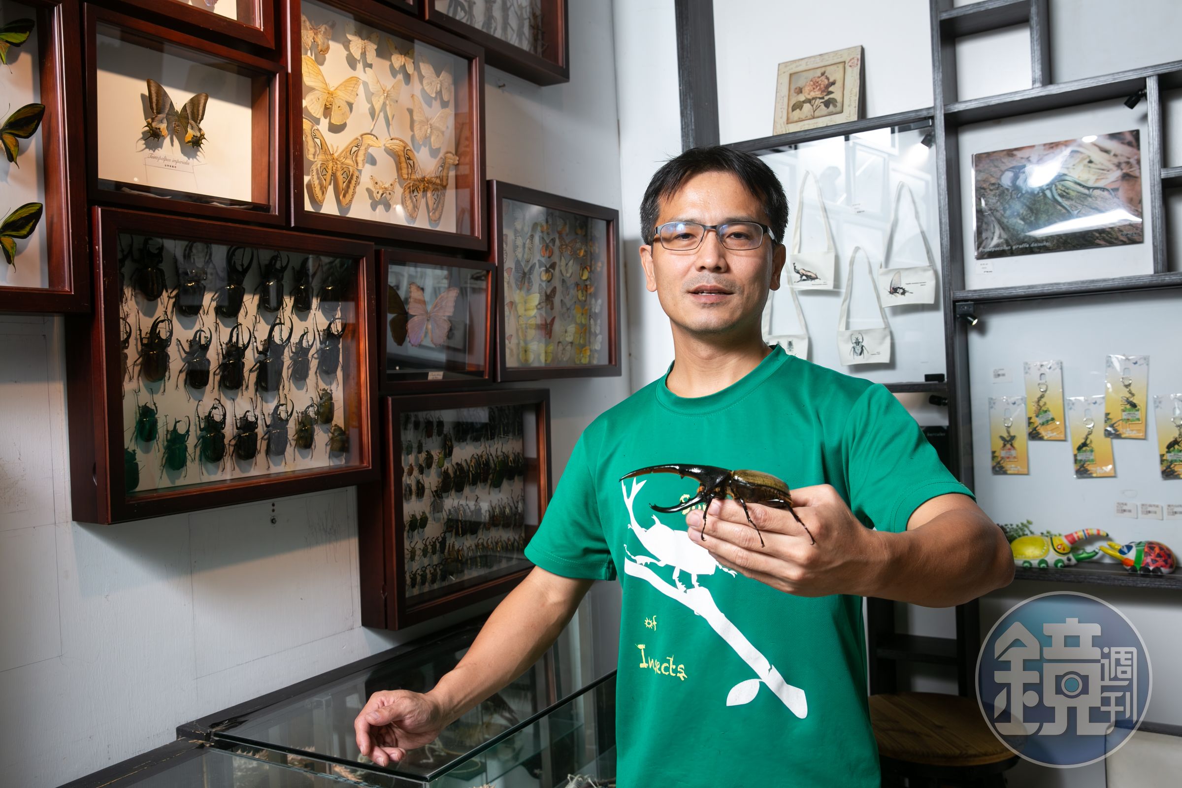 柯心平說,長戟大兜蟲(赫克力士大兜蟲)至今都依然是蟲界中的熱門飼養品種。