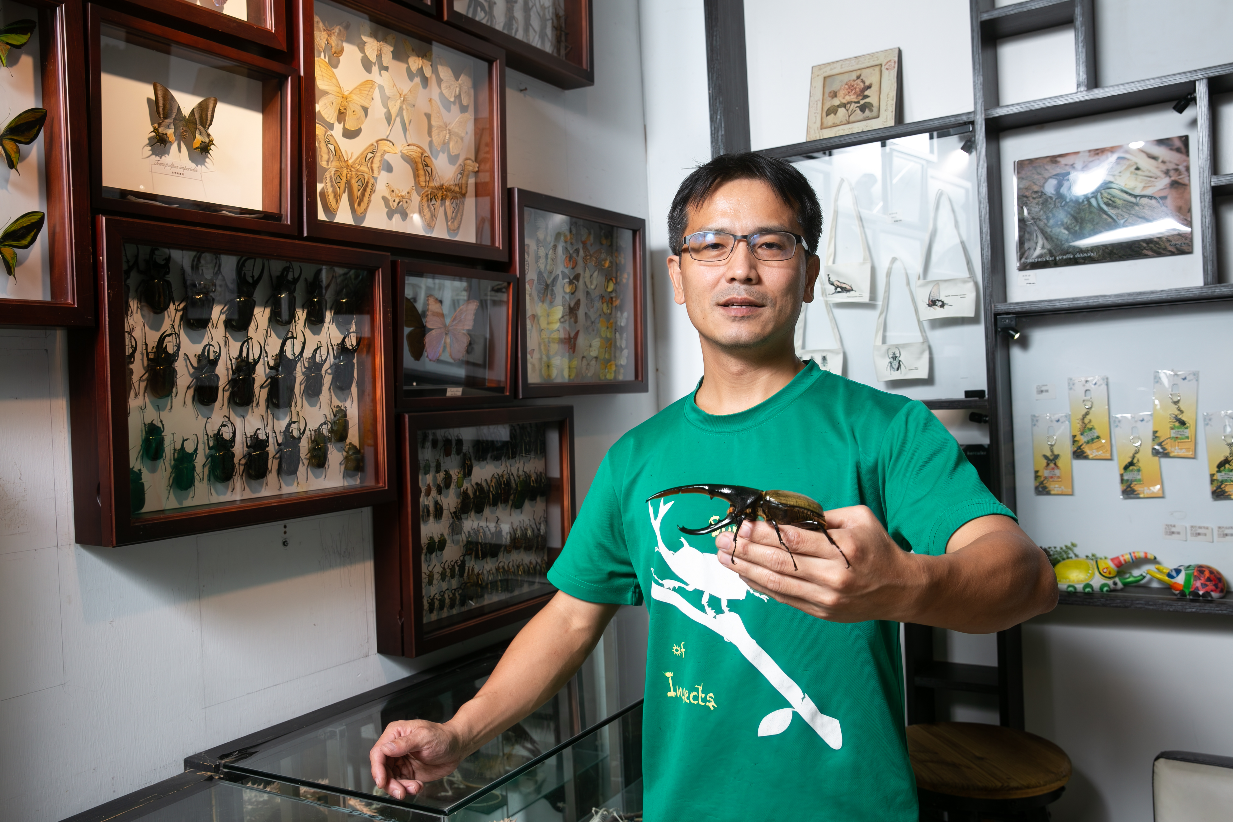 柯心平說，長戟大兜蟲（赫克力士大兜蟲）至今都依然是蟲界中的熱門飼養品種。