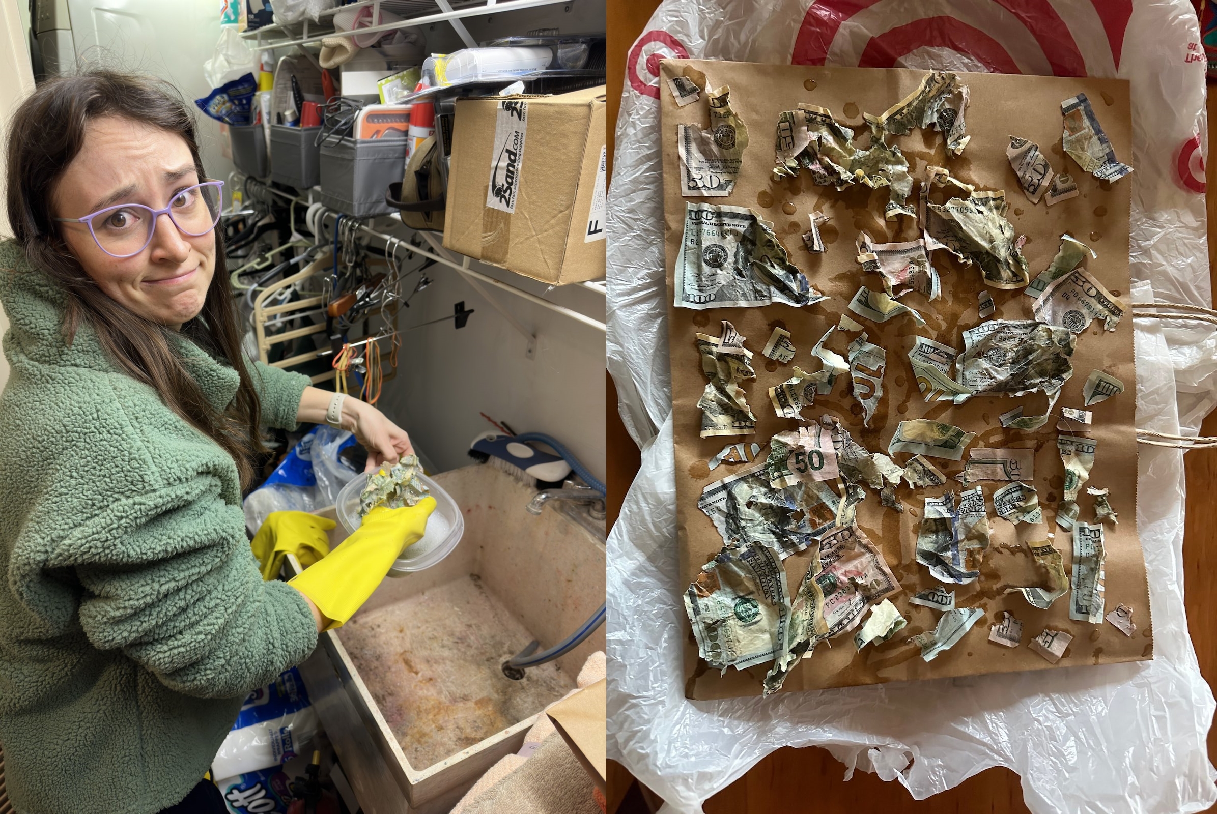 塞西爾的主人為了挽救被吃掉的鈔票,只能從狗狗排泄物尋找被吃掉的鈔票碎片,接著用水清洗。(翻攝X@VintageSass831、@JessicaGuayTV)
