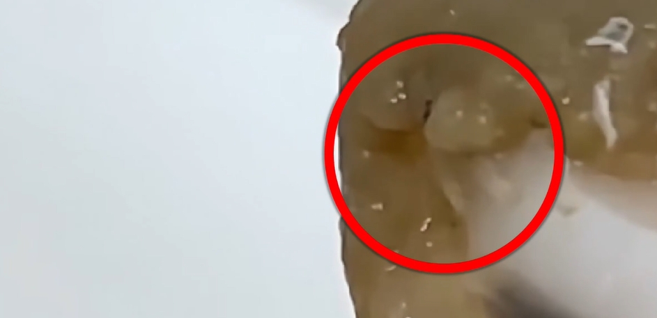 民眾外帶爭鮮壽司驚見「蛆在上面蠕動」。（翻攝自記者爆料網）