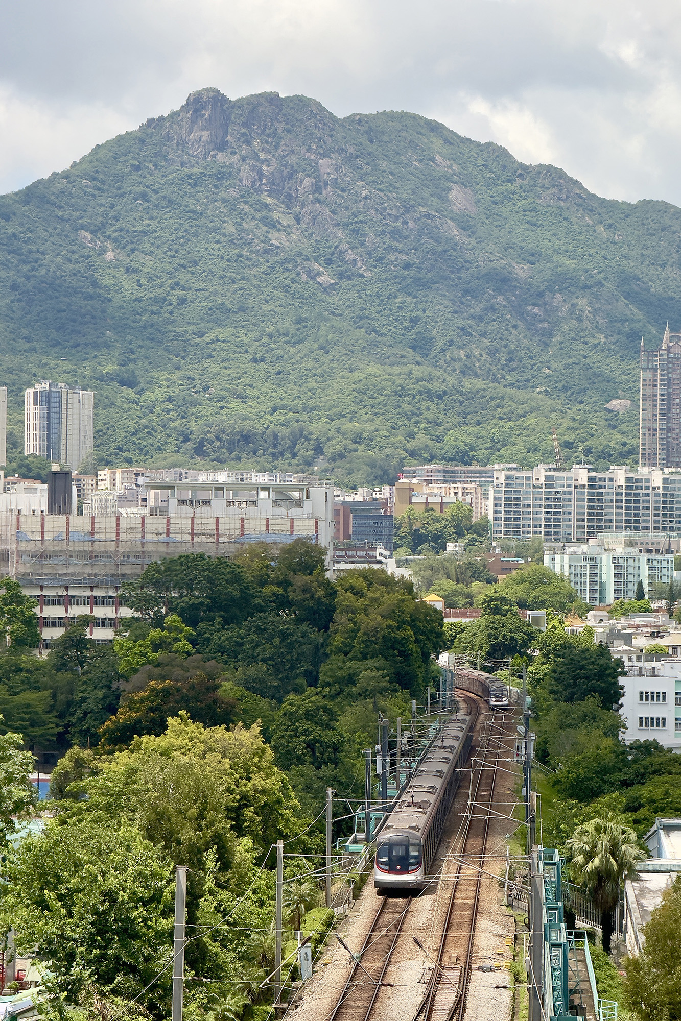 獅房菜餐廳窗景剛好正對著獅子山，與張愛玲過去居住在香港朋友家時的窗外有相似景觀。