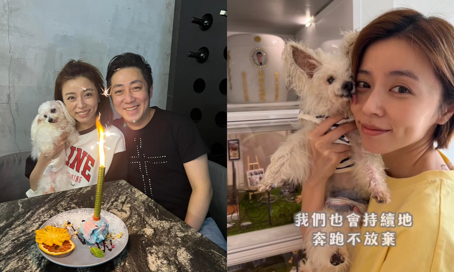 藝人艾成冥誕，王瞳帶愛犬哈嚕到三峽的天成墓園思念艾成。（左翻攝艾成臉書，右翻攝影片）