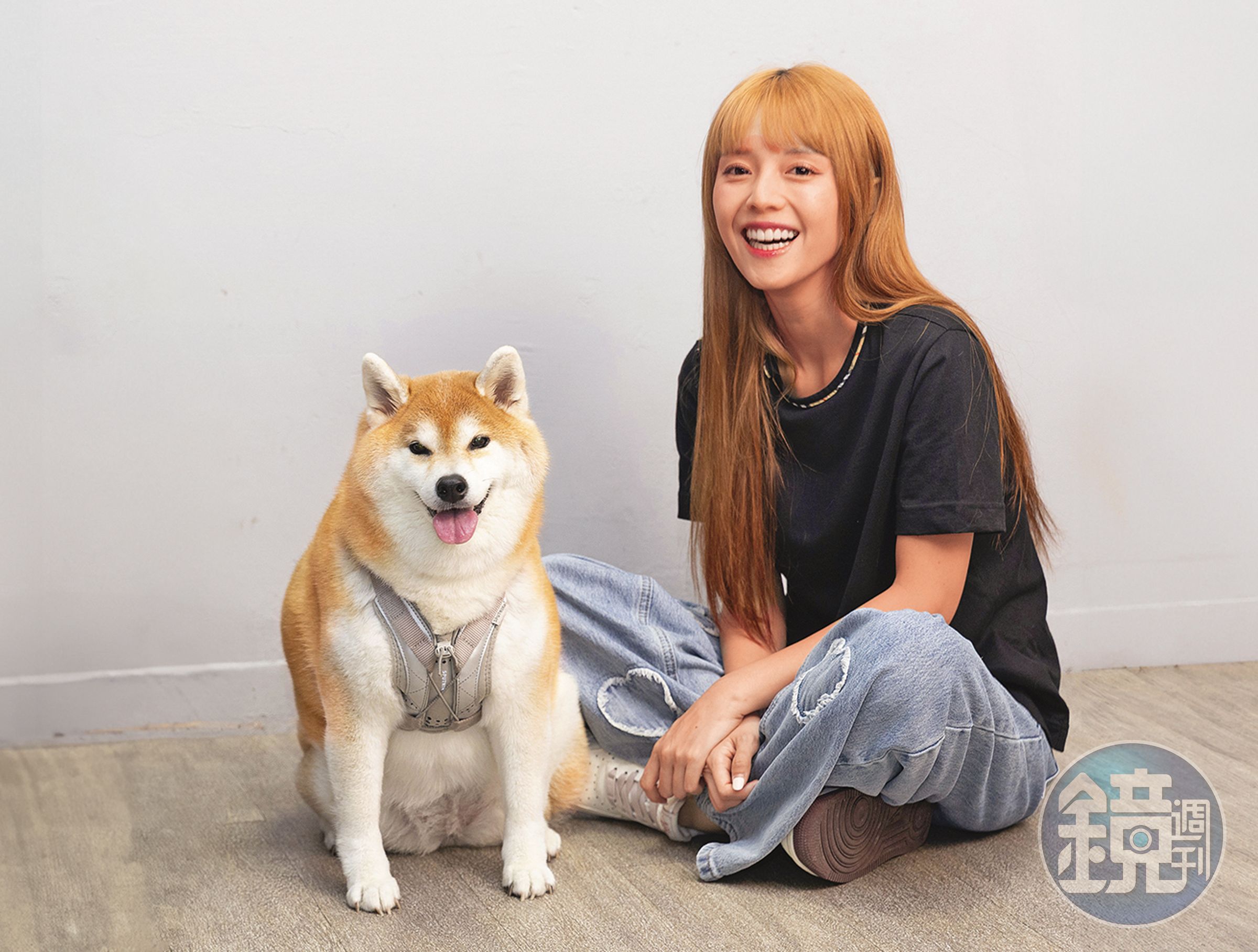樂天女孩黃禹菡的7歲柴犬膽小害羞,乖乖待在主人身旁不敢離開。