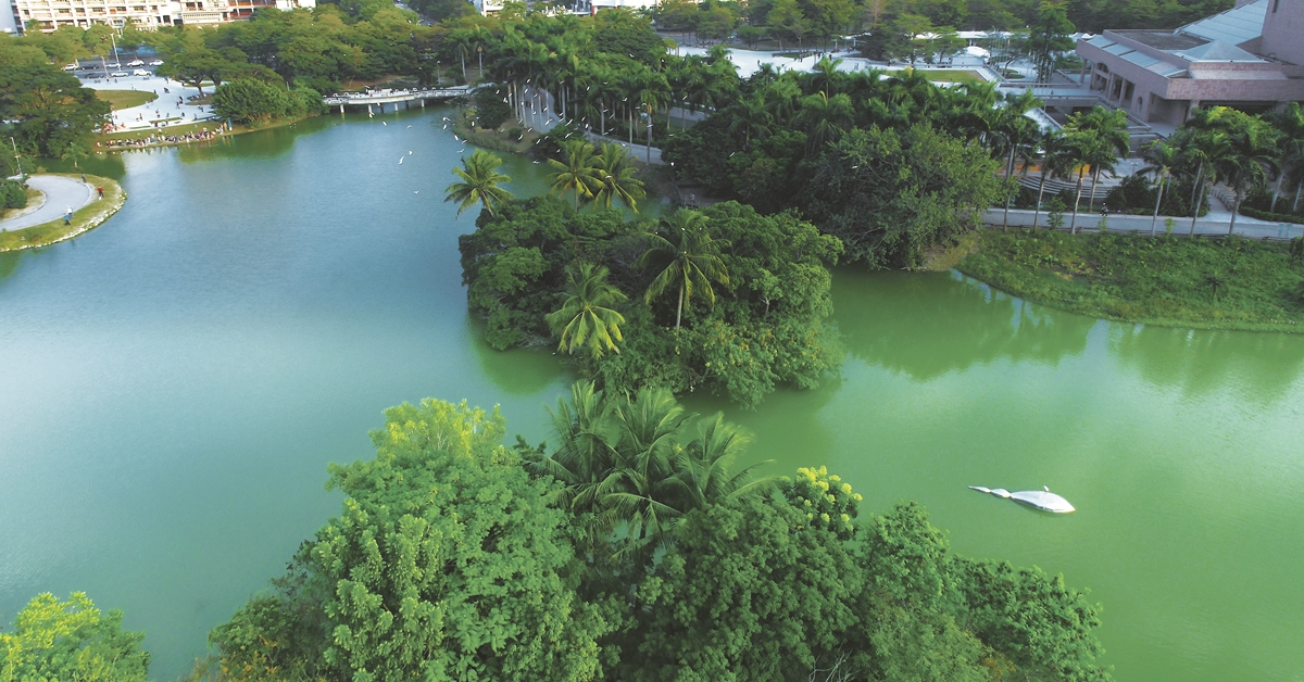無論國內外富豪，總喜愛美術館周邊靜謐、充滿藝文的生活環境。