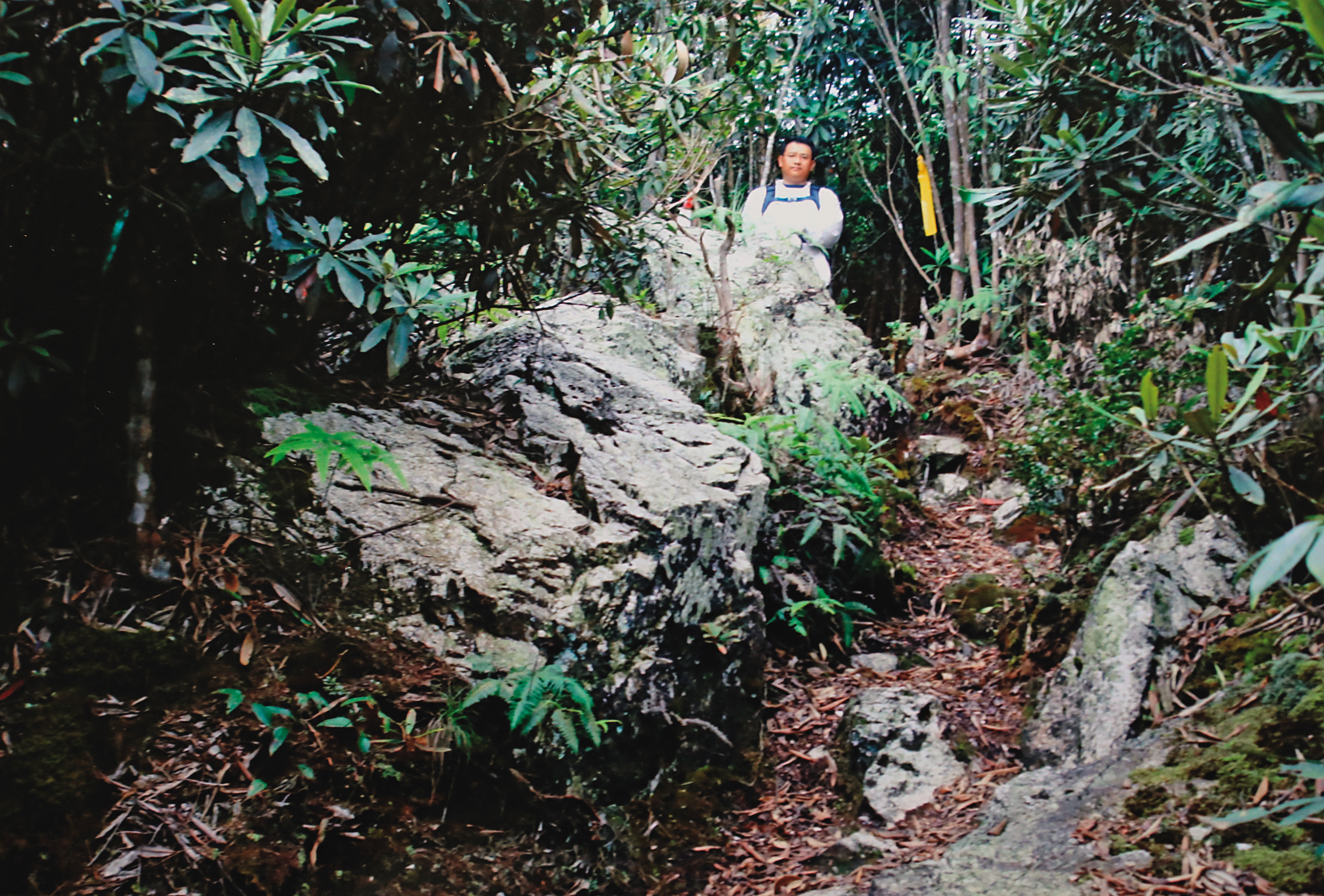 南投縣信義鄉水社大山的水晶礦山，二氧化矽成分逾99％，開採價值極高。（受訪者提供）